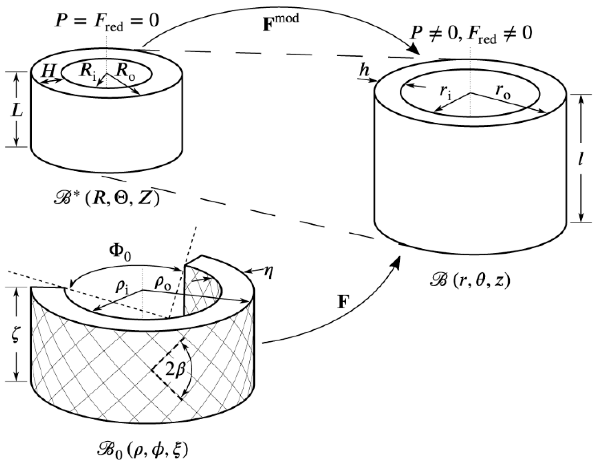 Medsci 13 00009 g002