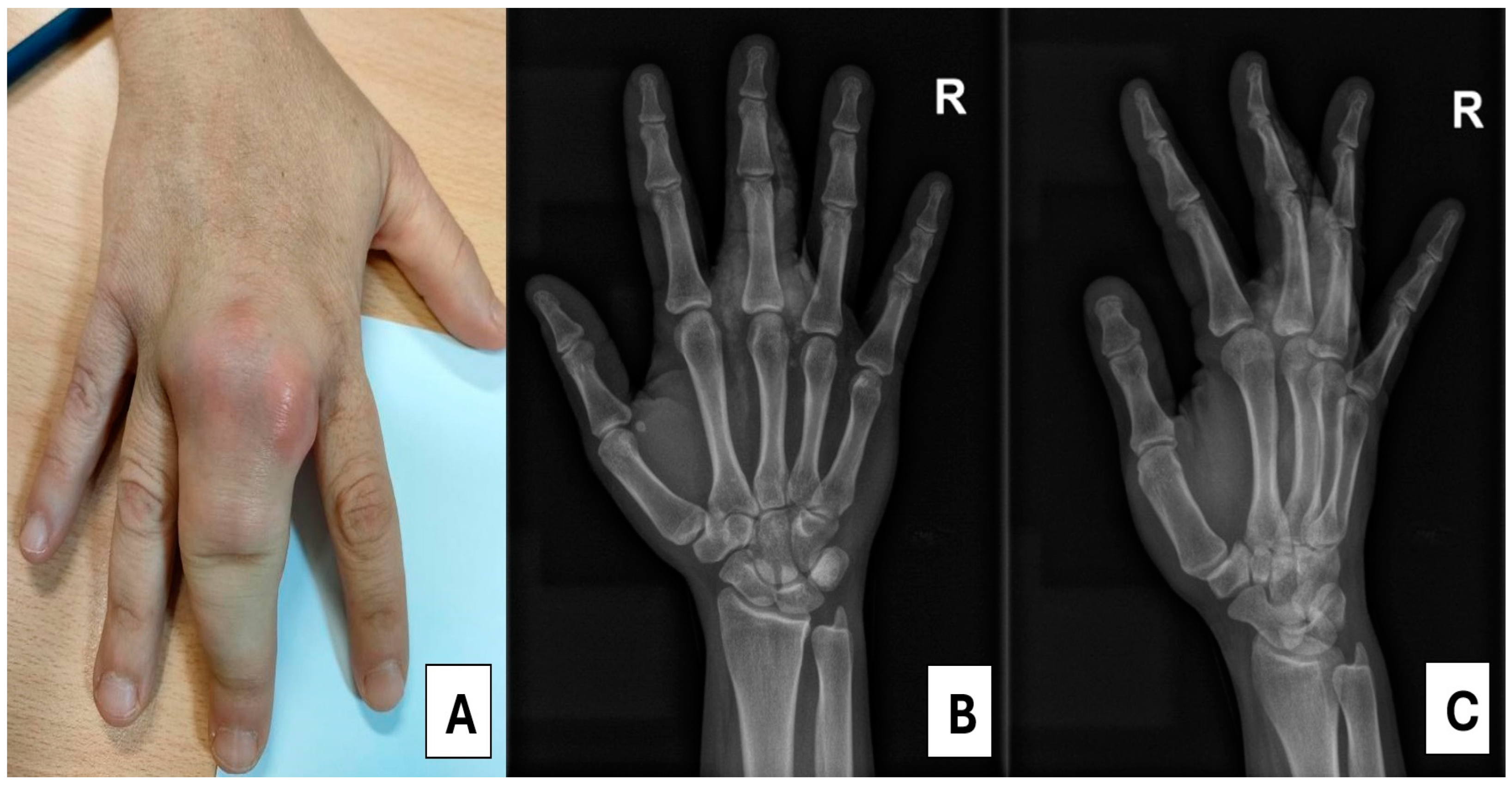 Medsci 13 00011 g001
