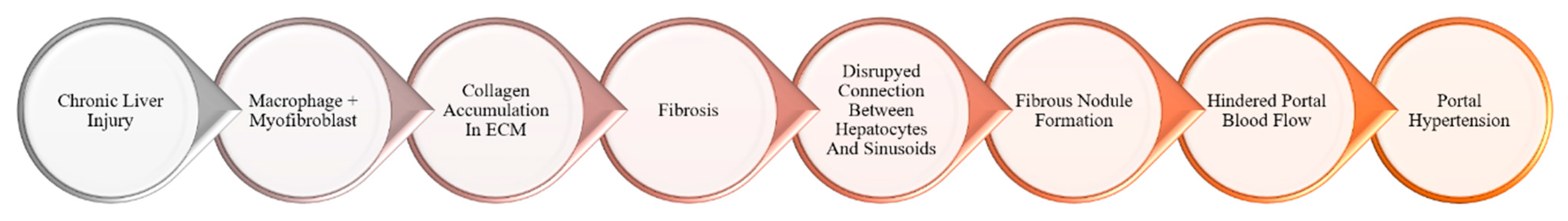 Medsci 13 00013 g001