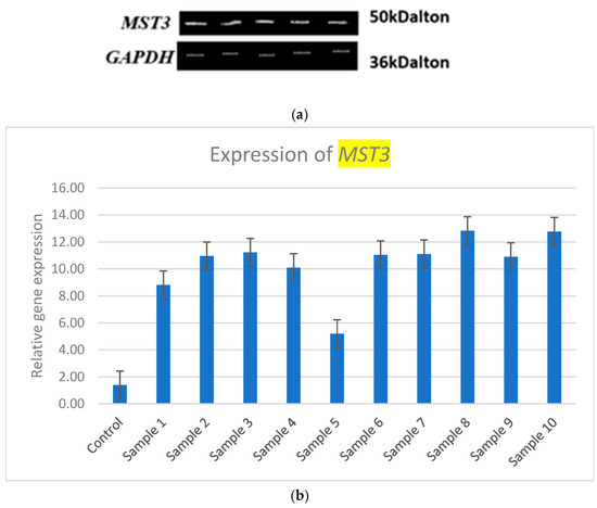 Medsci 13 00033 g001