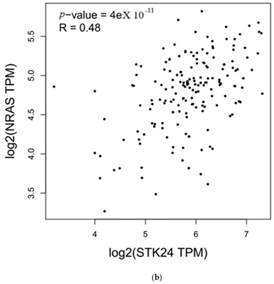 Medsci 13 00033 g002b