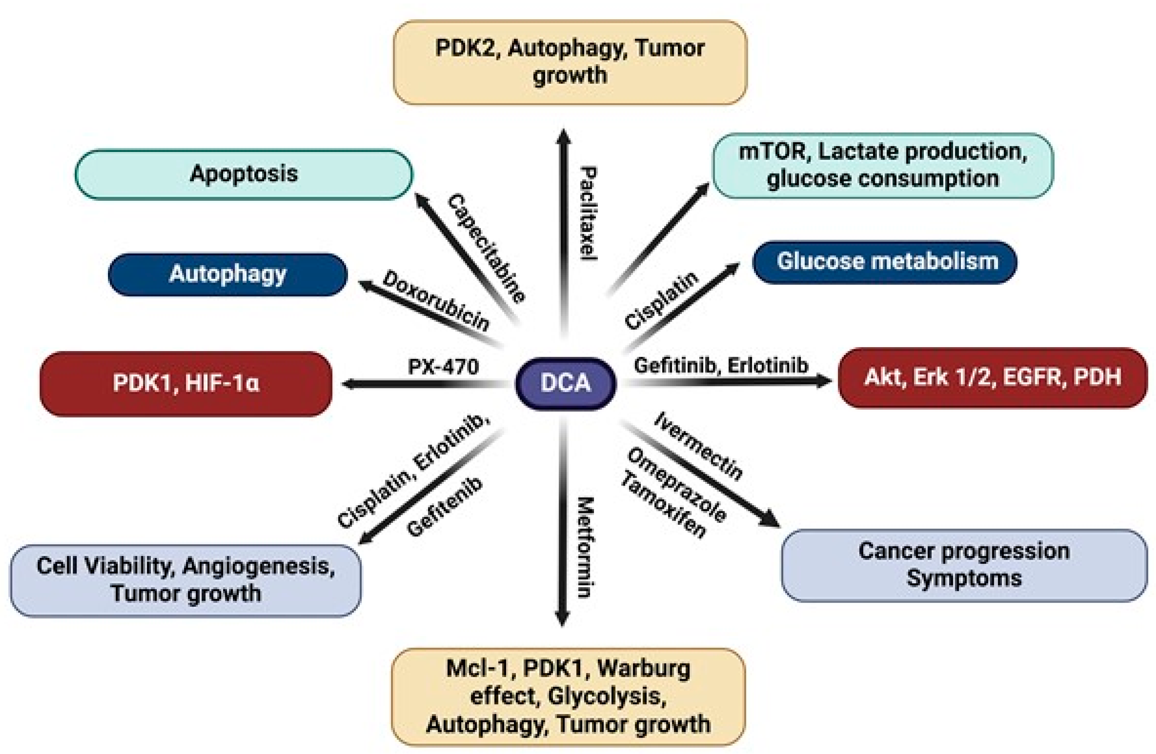Medsci 13 00047 g001