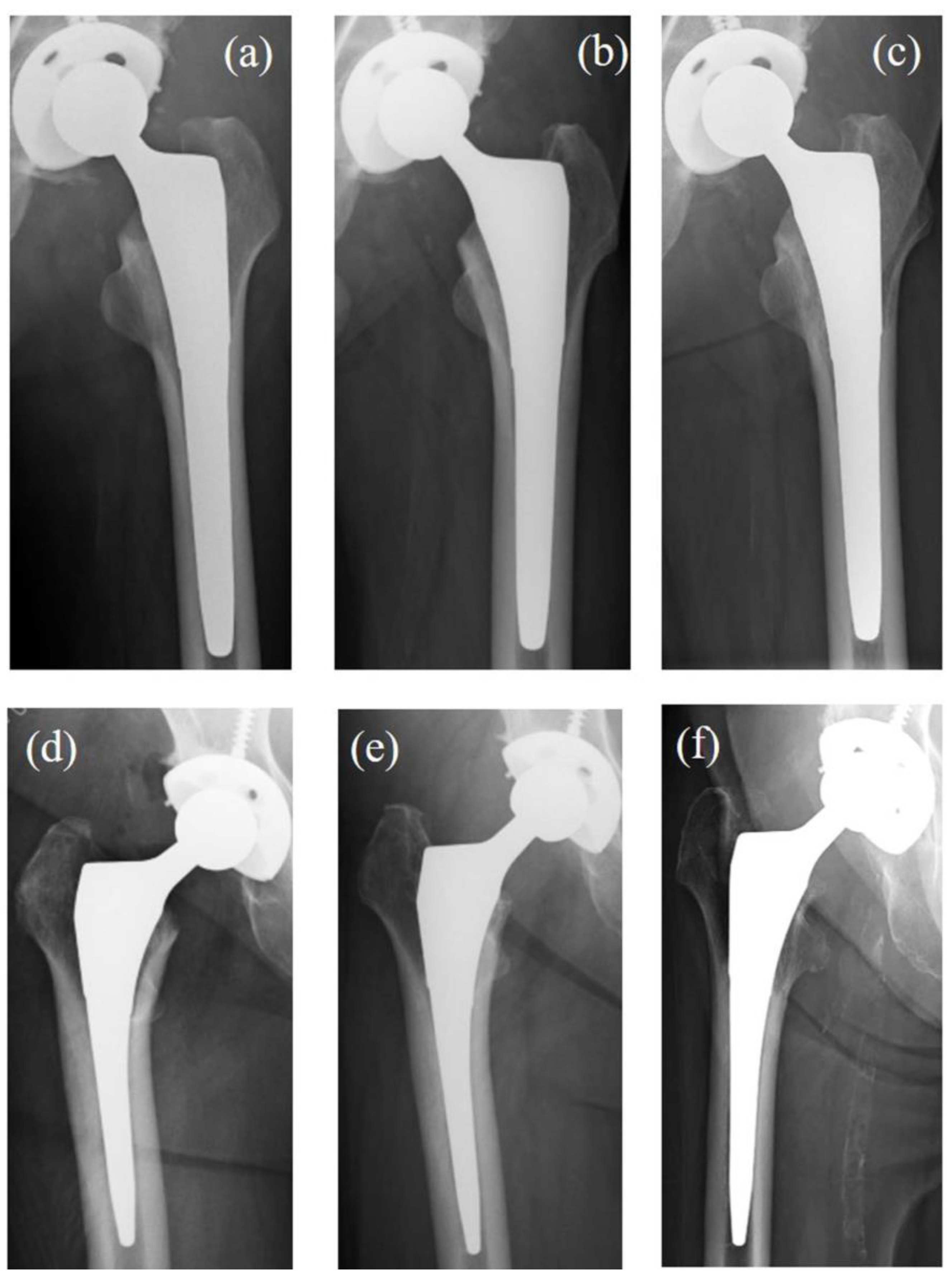 Medsci 13 00051 g004 Medsci 13 00051 g004