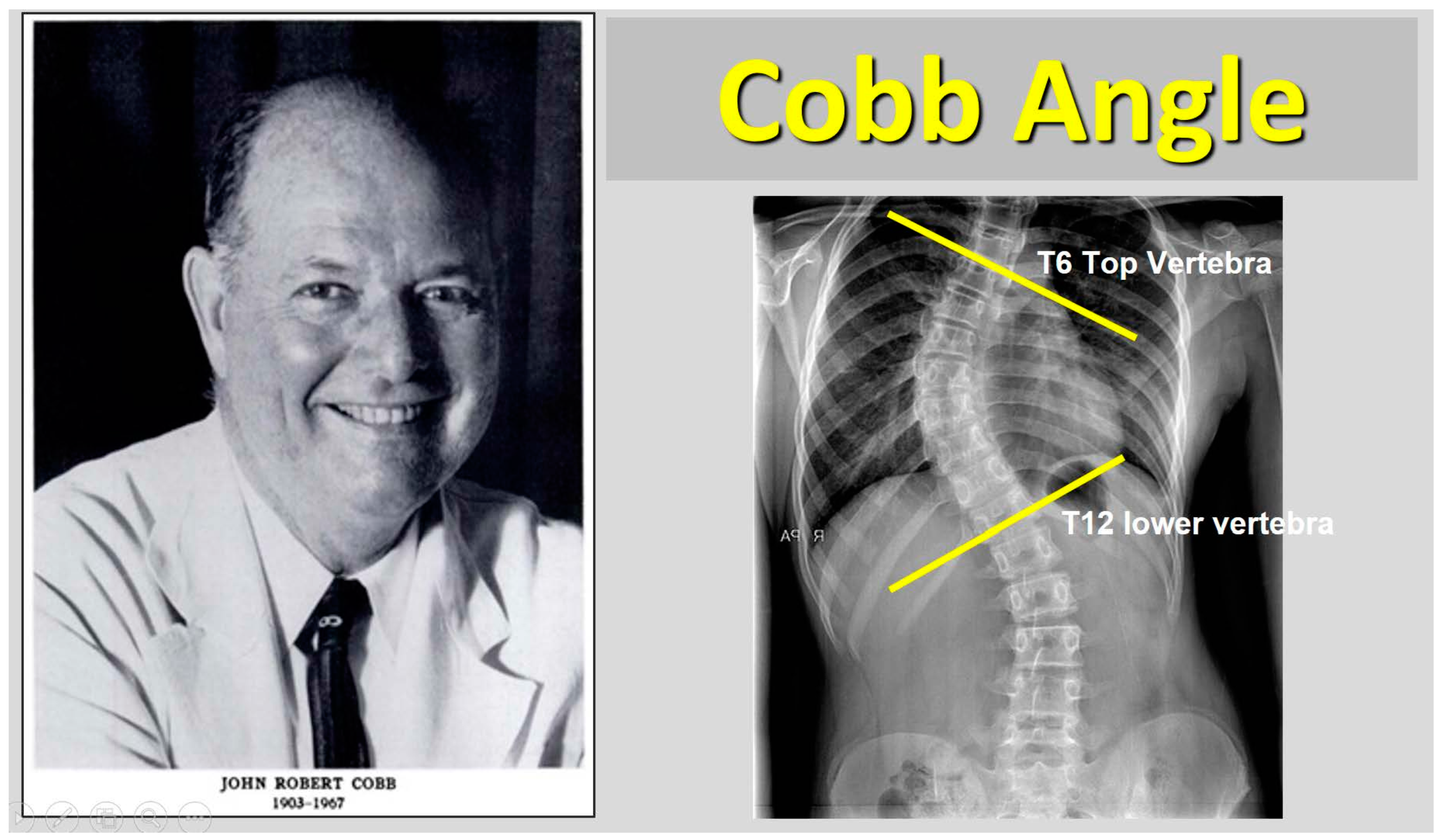 Medsci 13 00062 g001