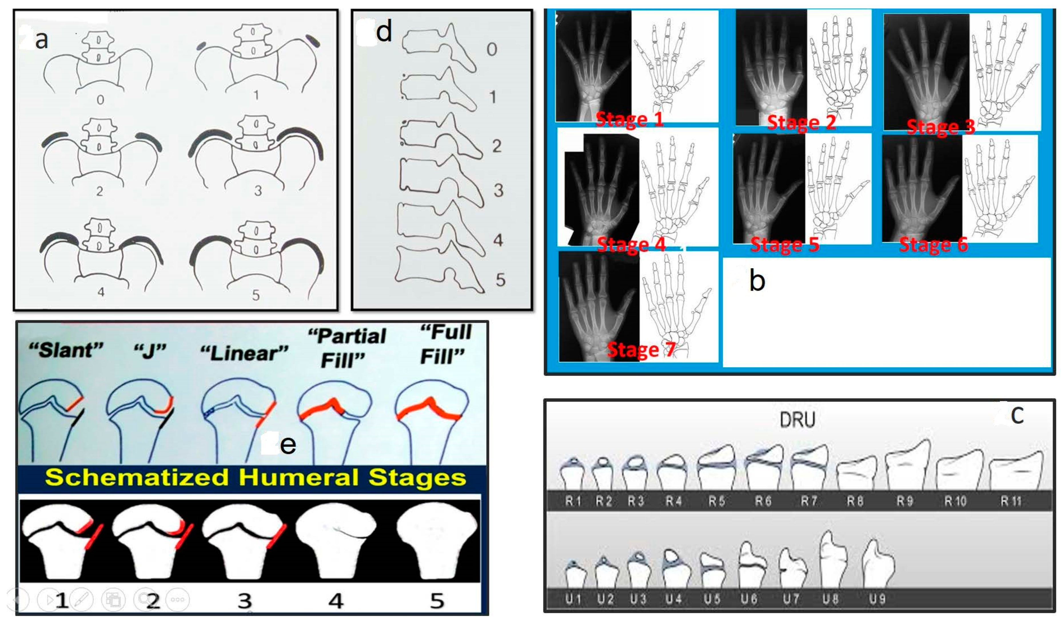 Medsci 13 00062 g002