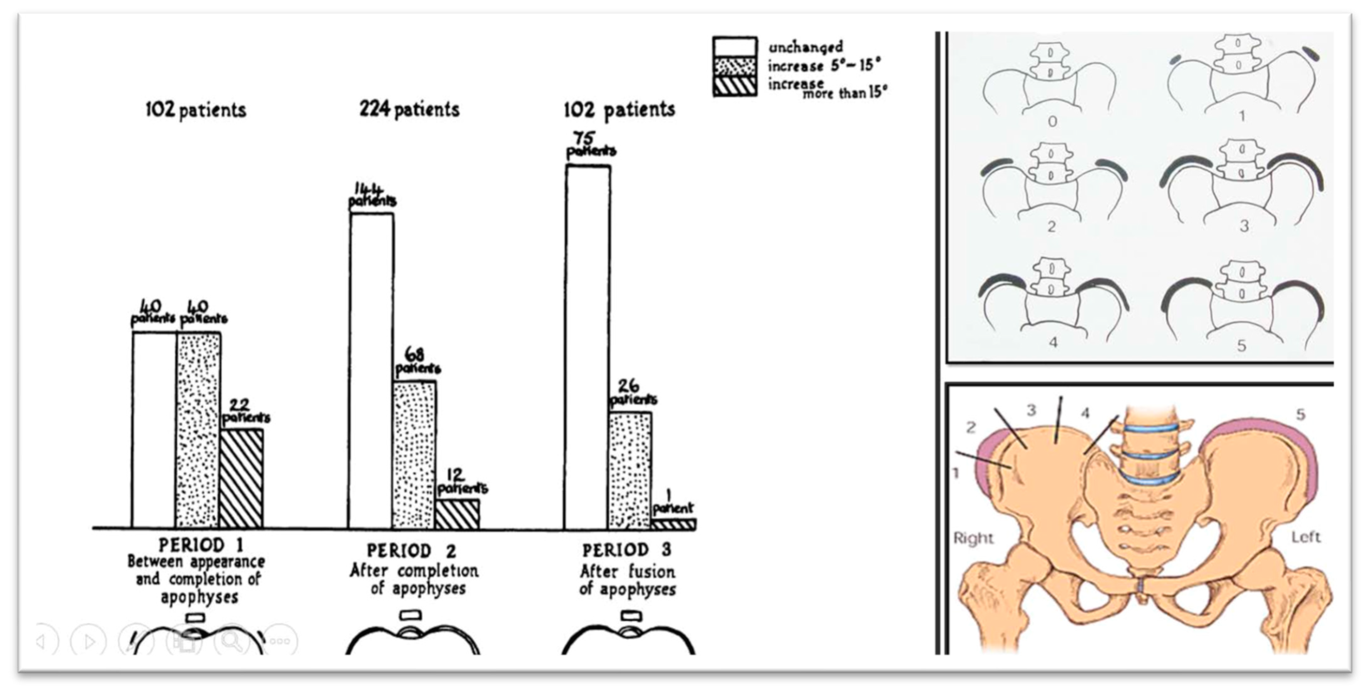 Medsci 13 00062 g003