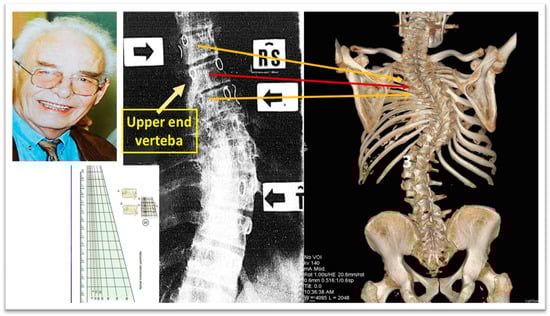 Medsci 13 00062 g008