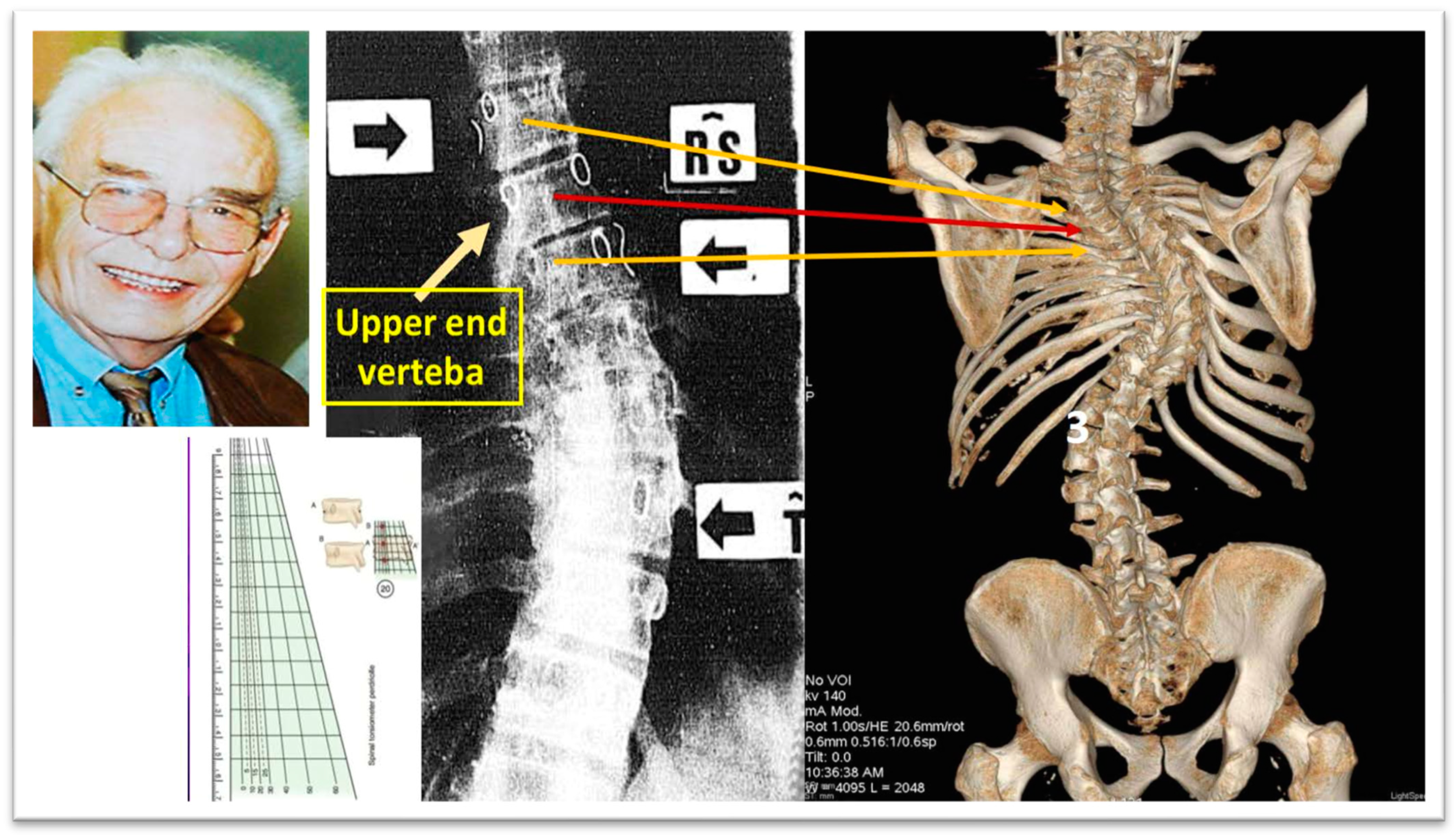 Medsci 13 00062 g008