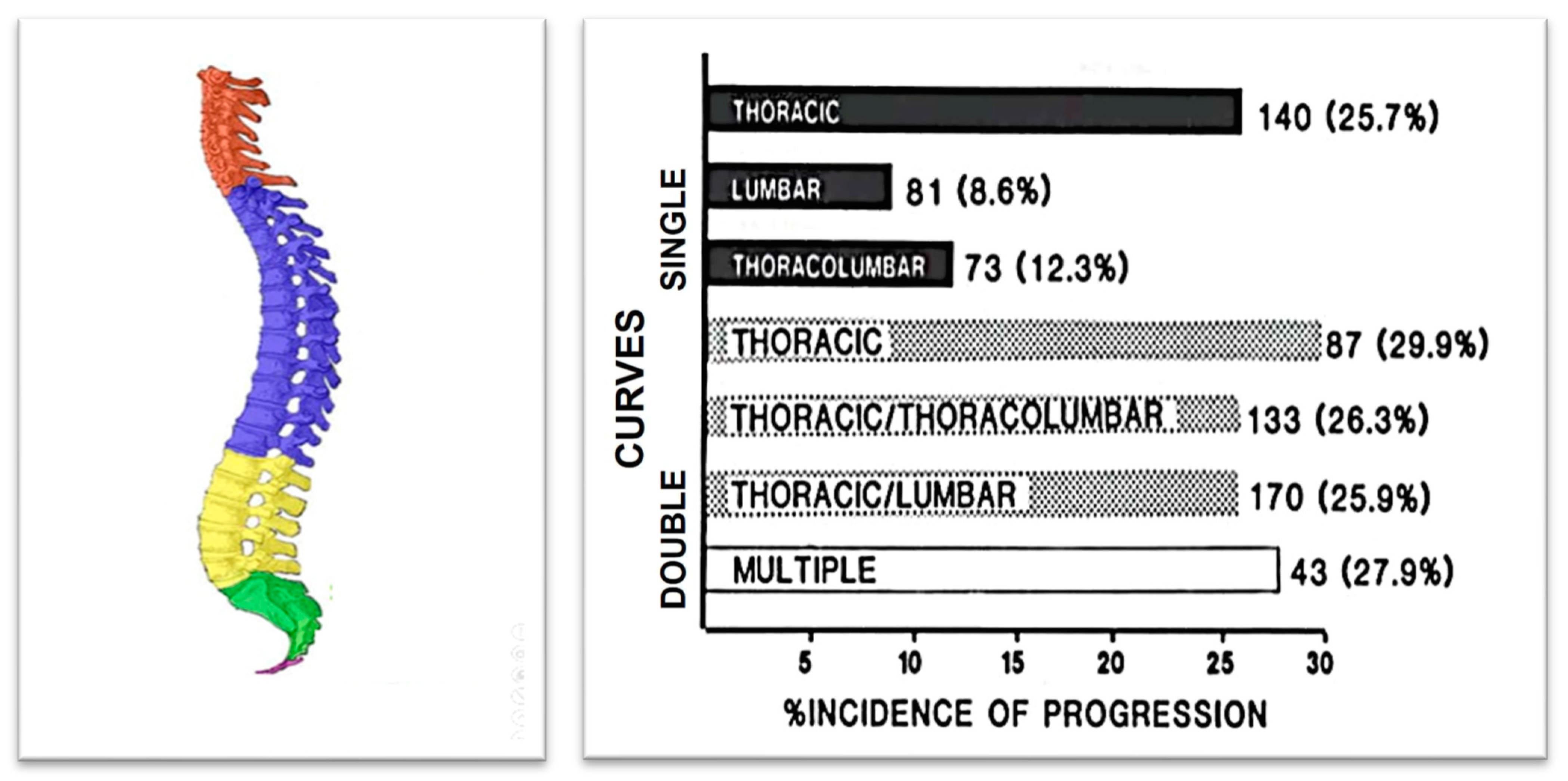 Medsci 13 00062 g010