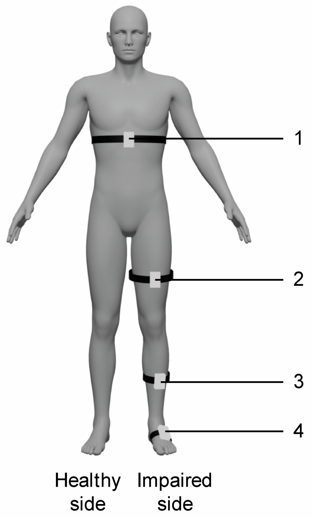 Medsci 13 00065 g001