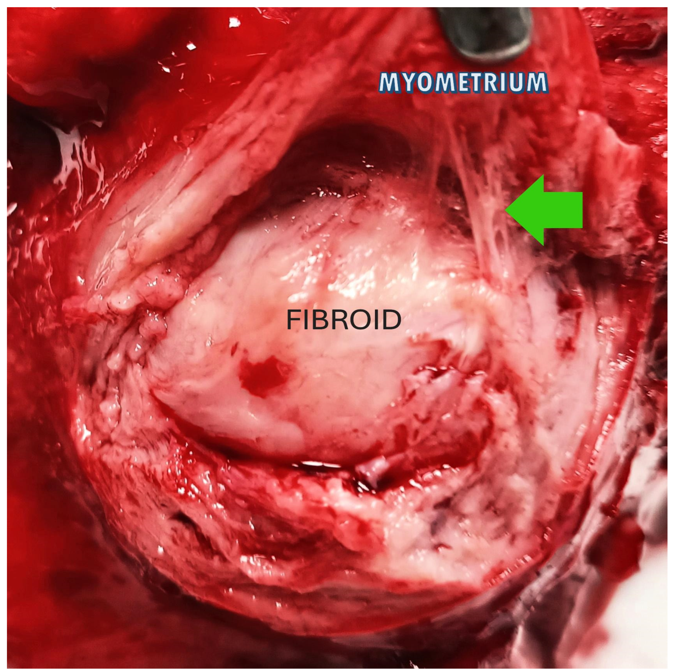 Medsci 13 00068 g003