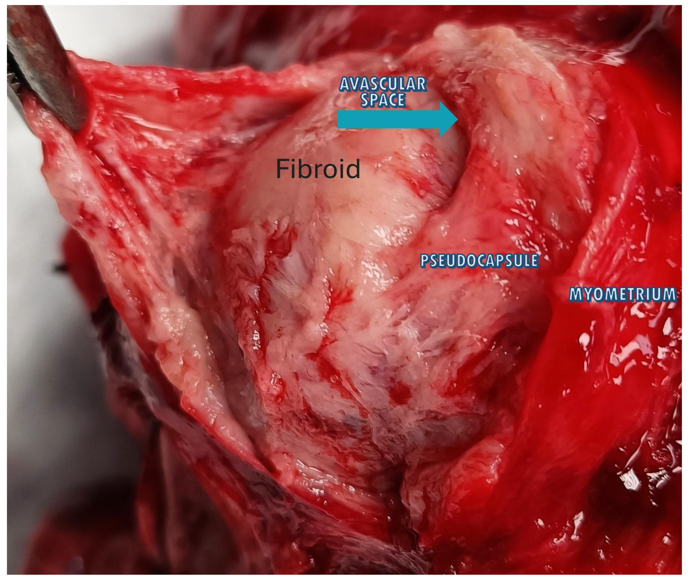 Medsci 13 00068 g004