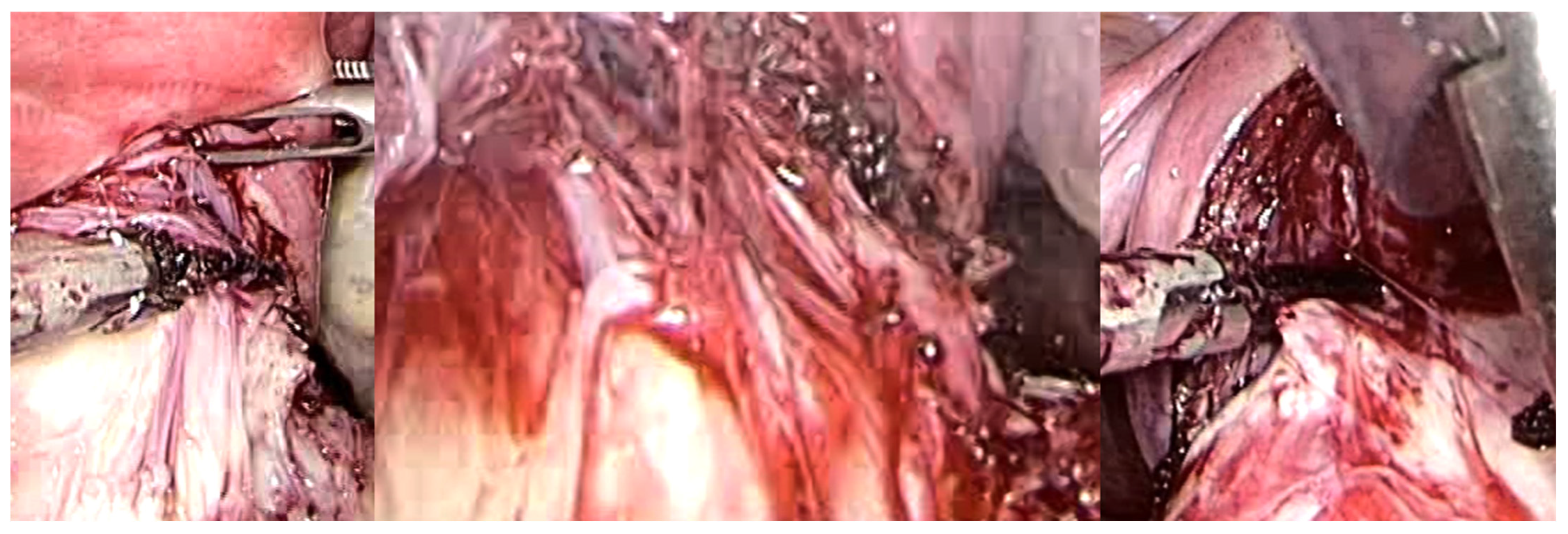 Medsci 13 00068 g007