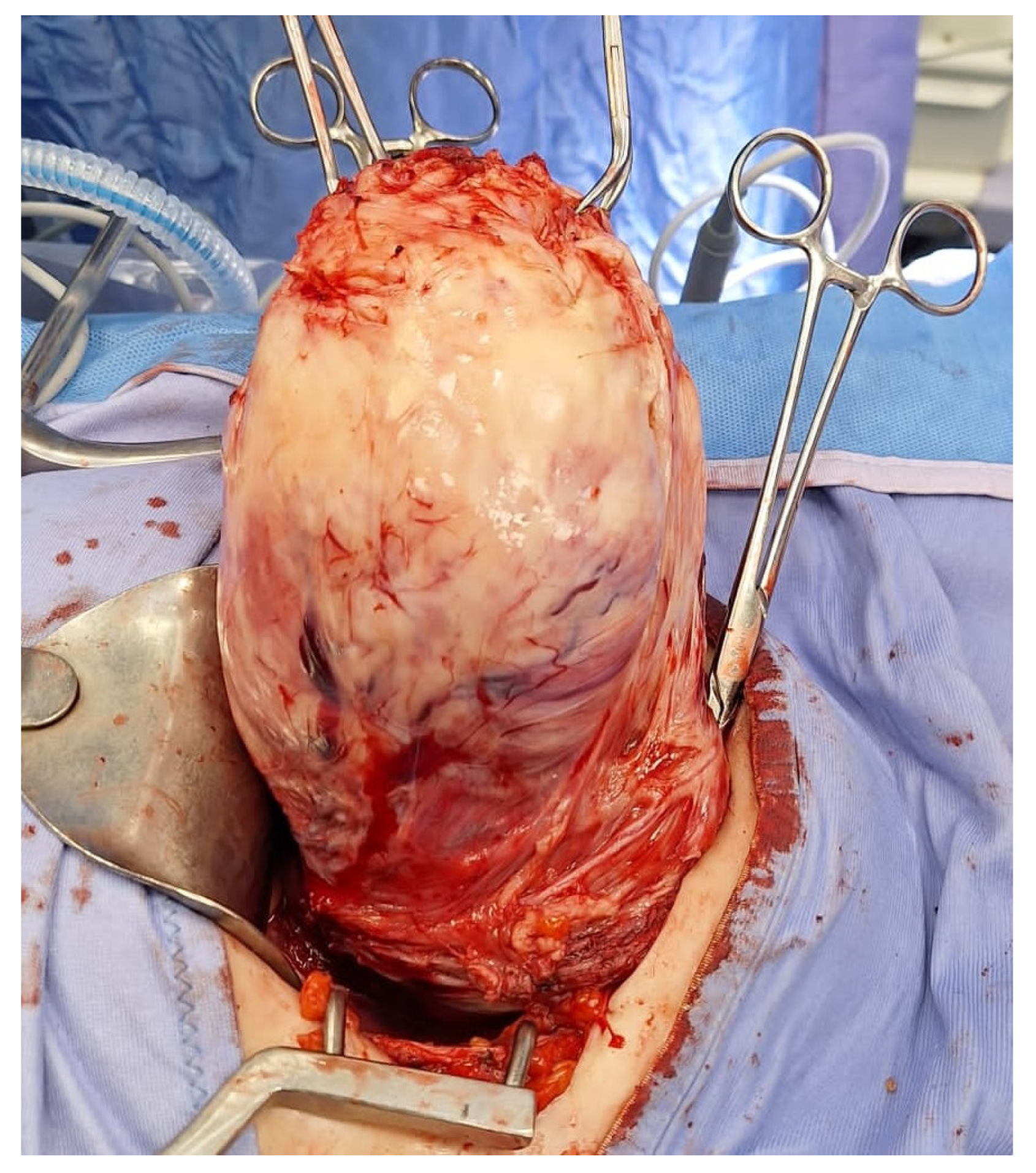 Medsci 13 00068 g008