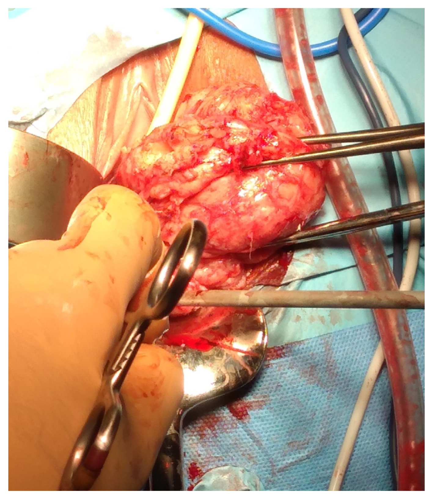 Medsci 13 00068 g009