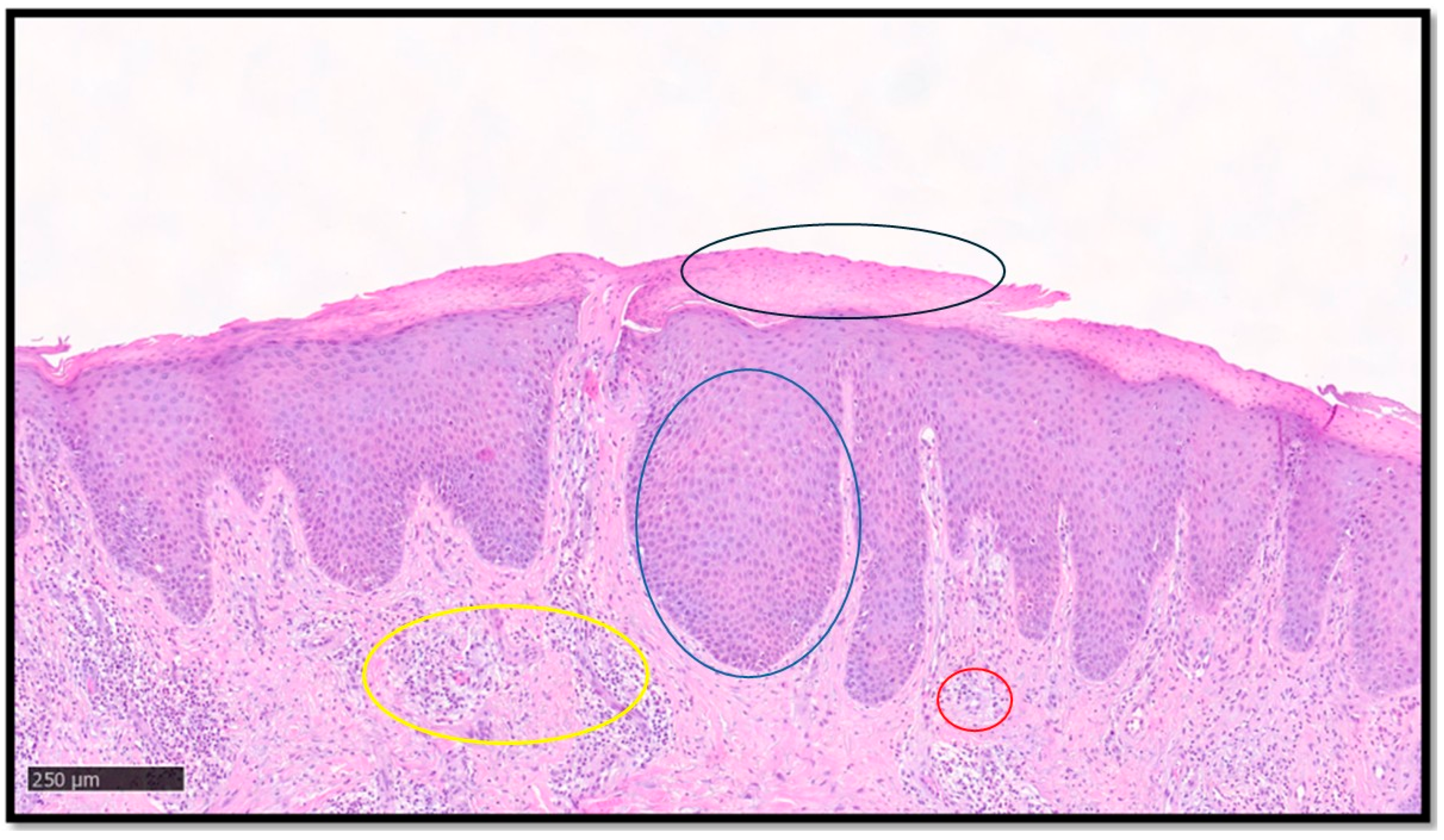 Medsci 13 00070 g001