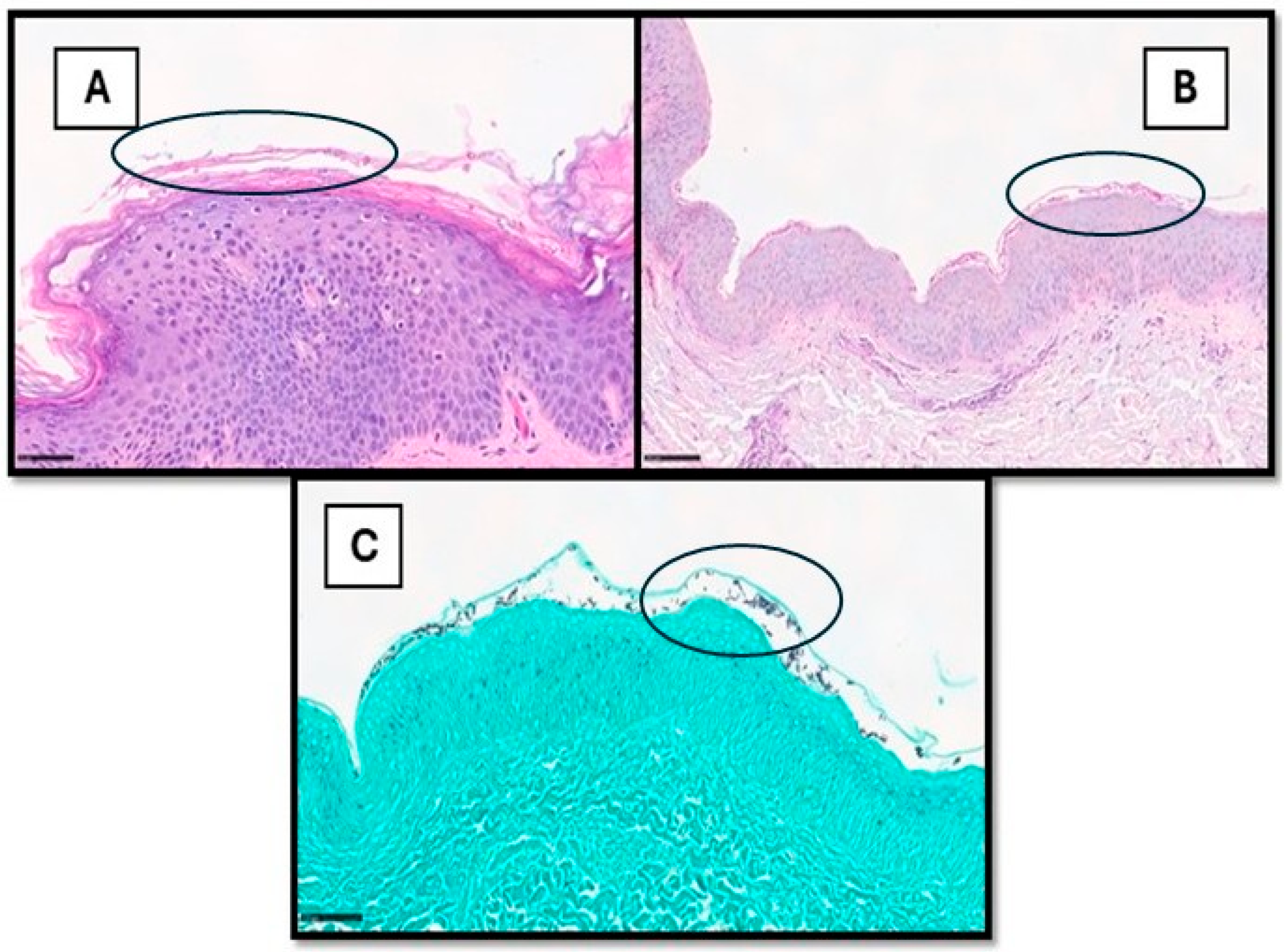 Medsci 13 00070 g002