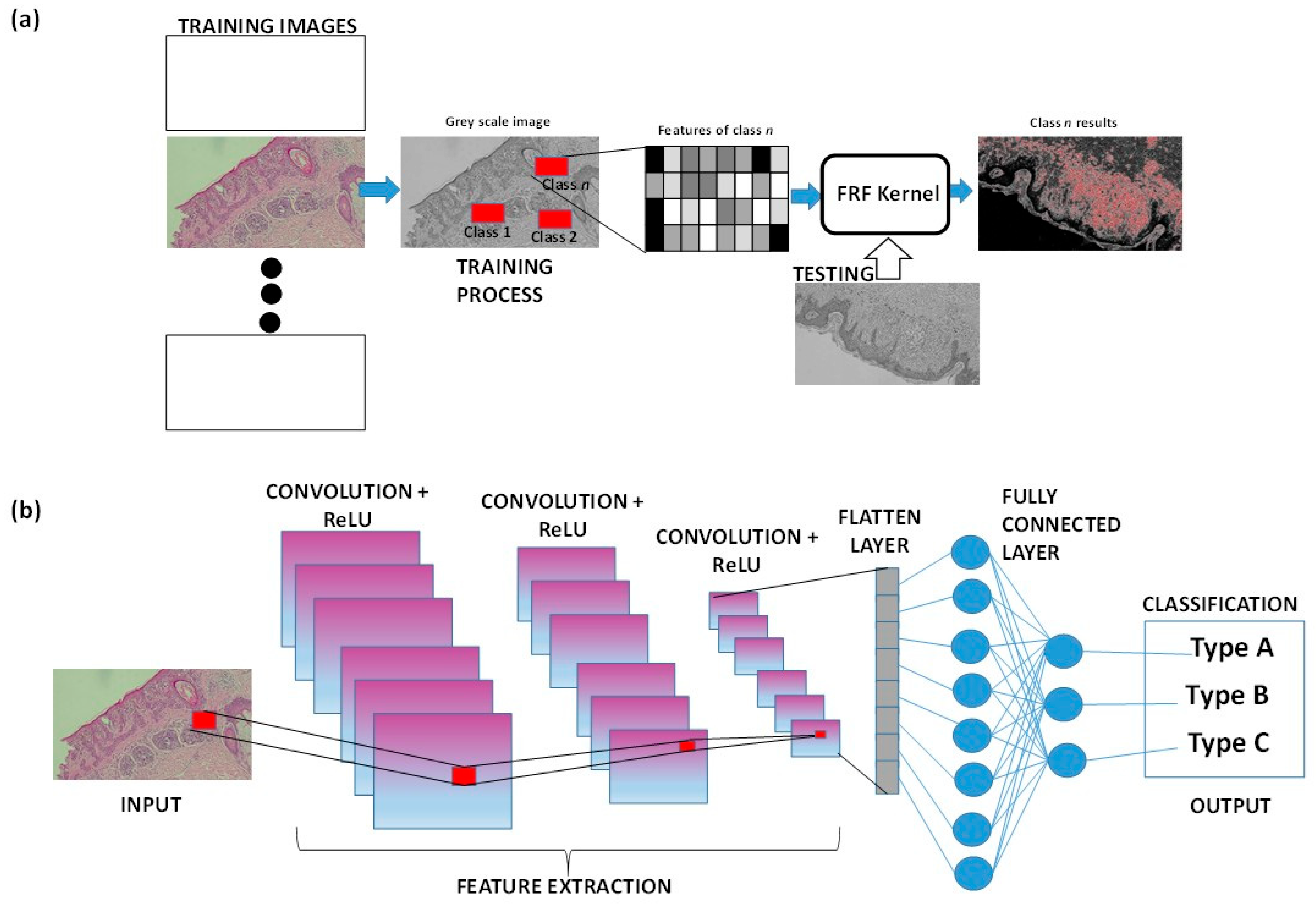 Medsci 13 00070 g003