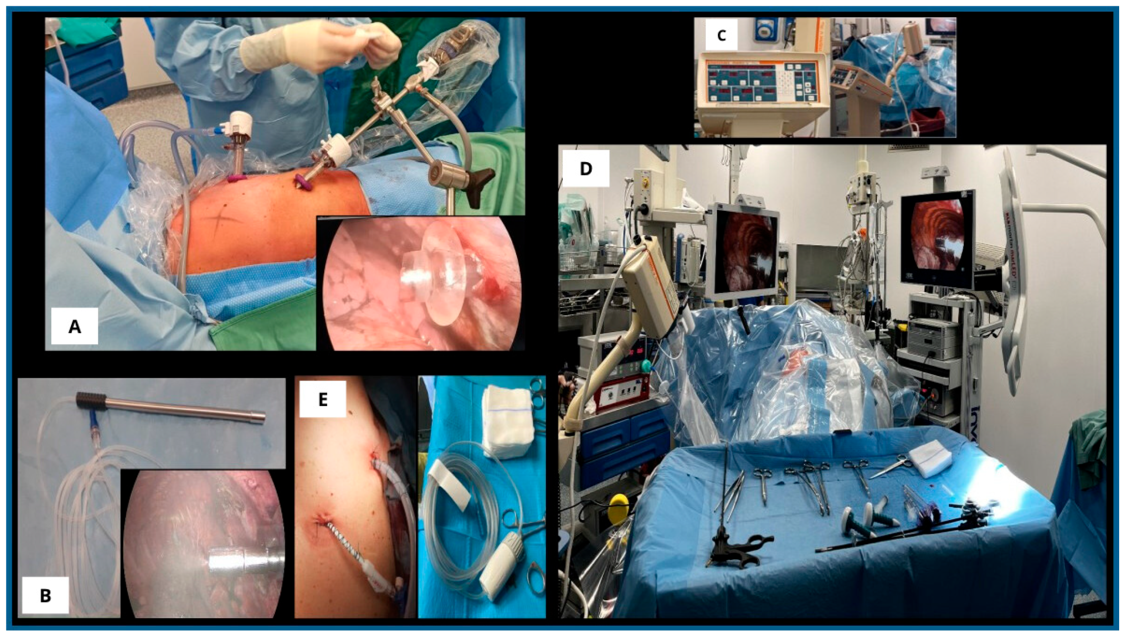 Medsci 13 00072 g001
