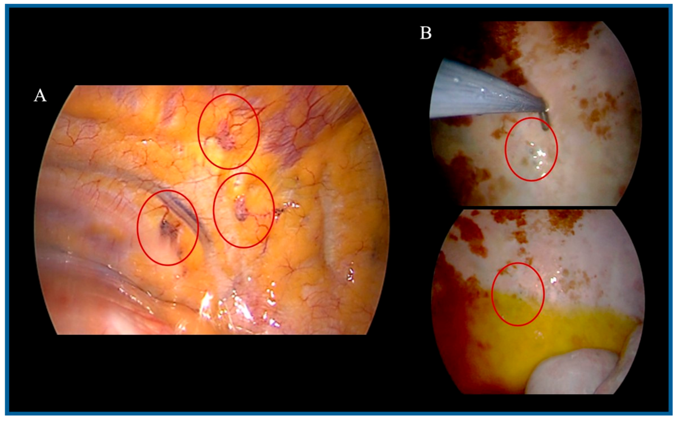 Medsci 13 00072 g003