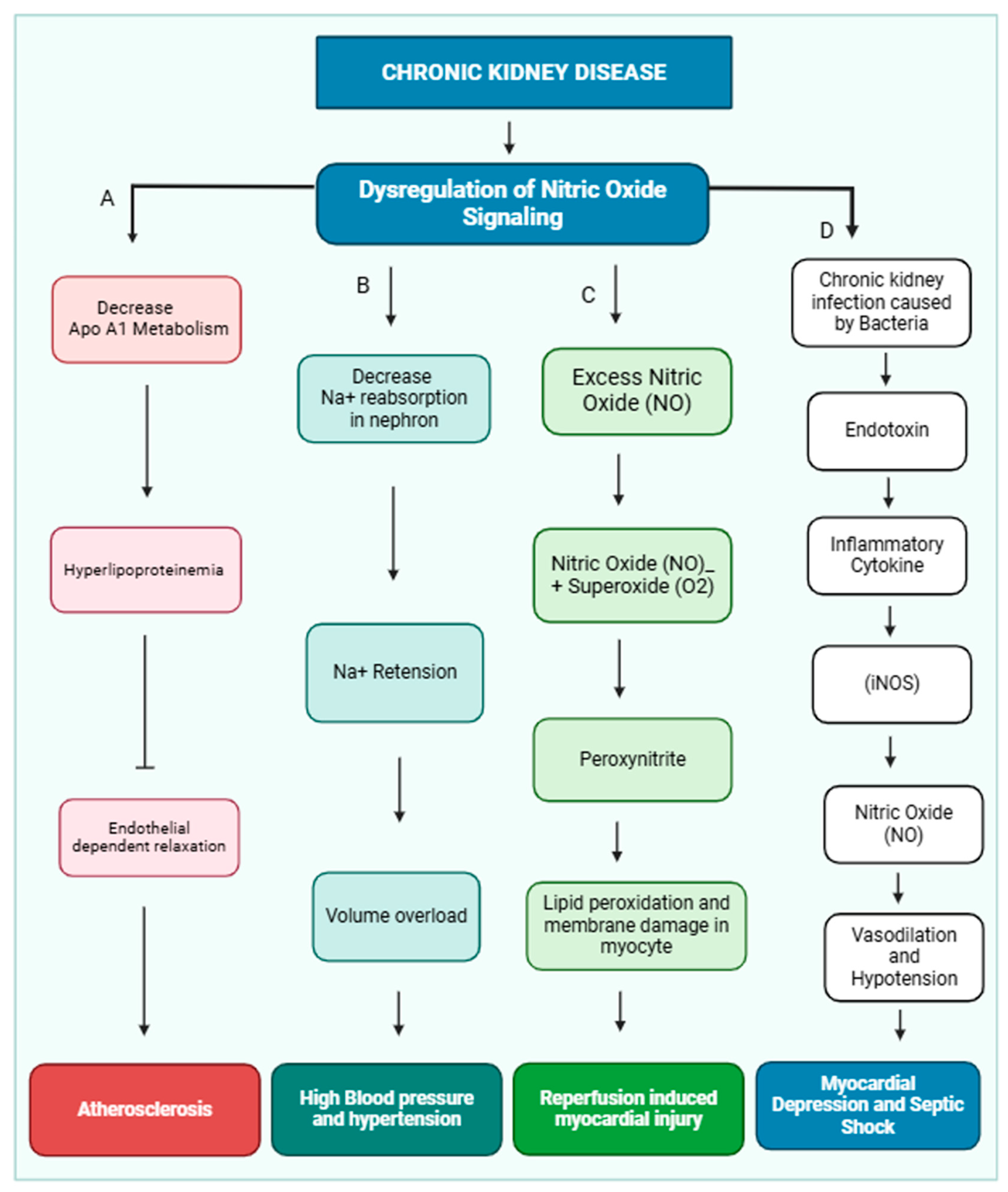 Medsci 13 00080 g002