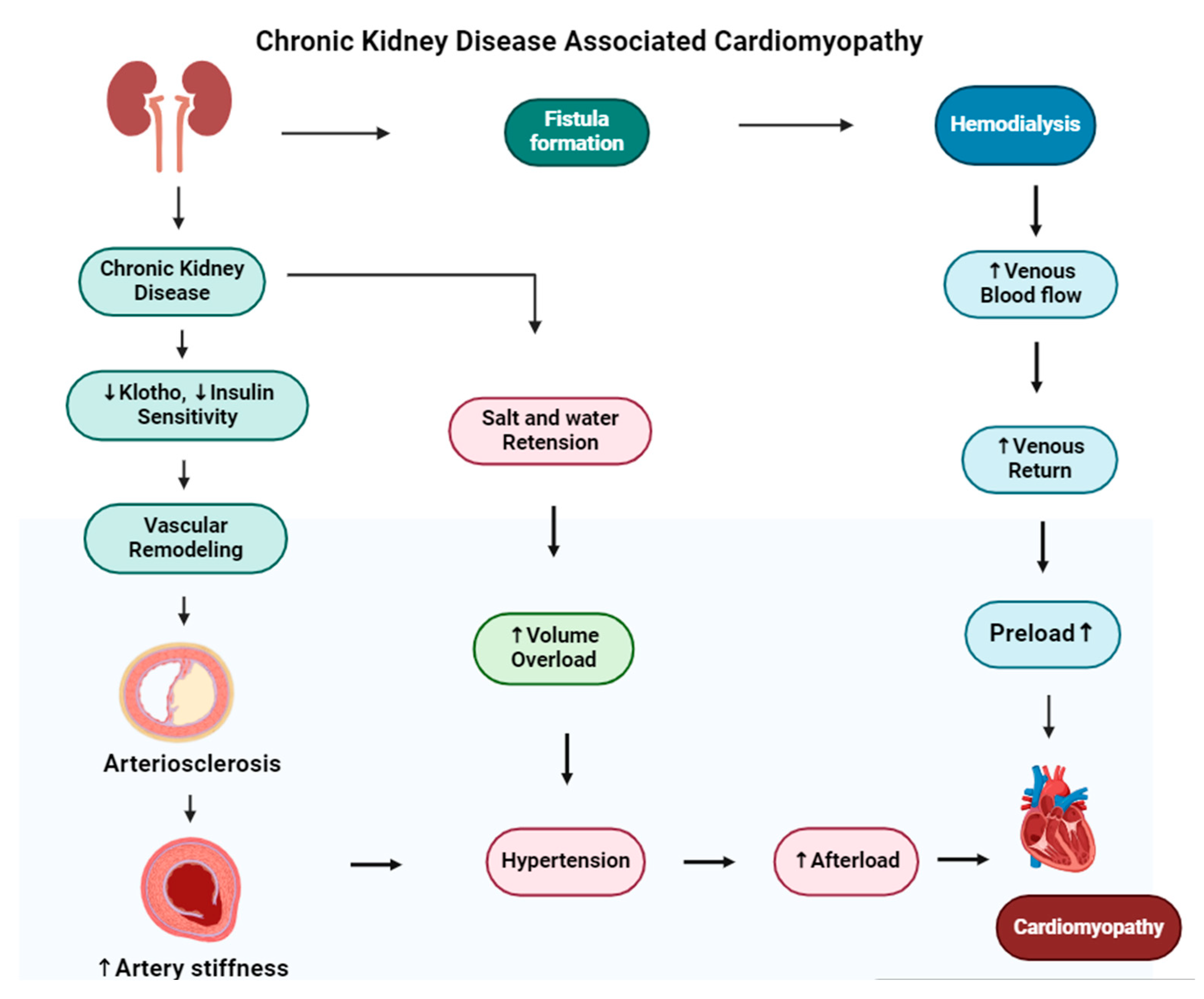 Medsci 13 00080 g006