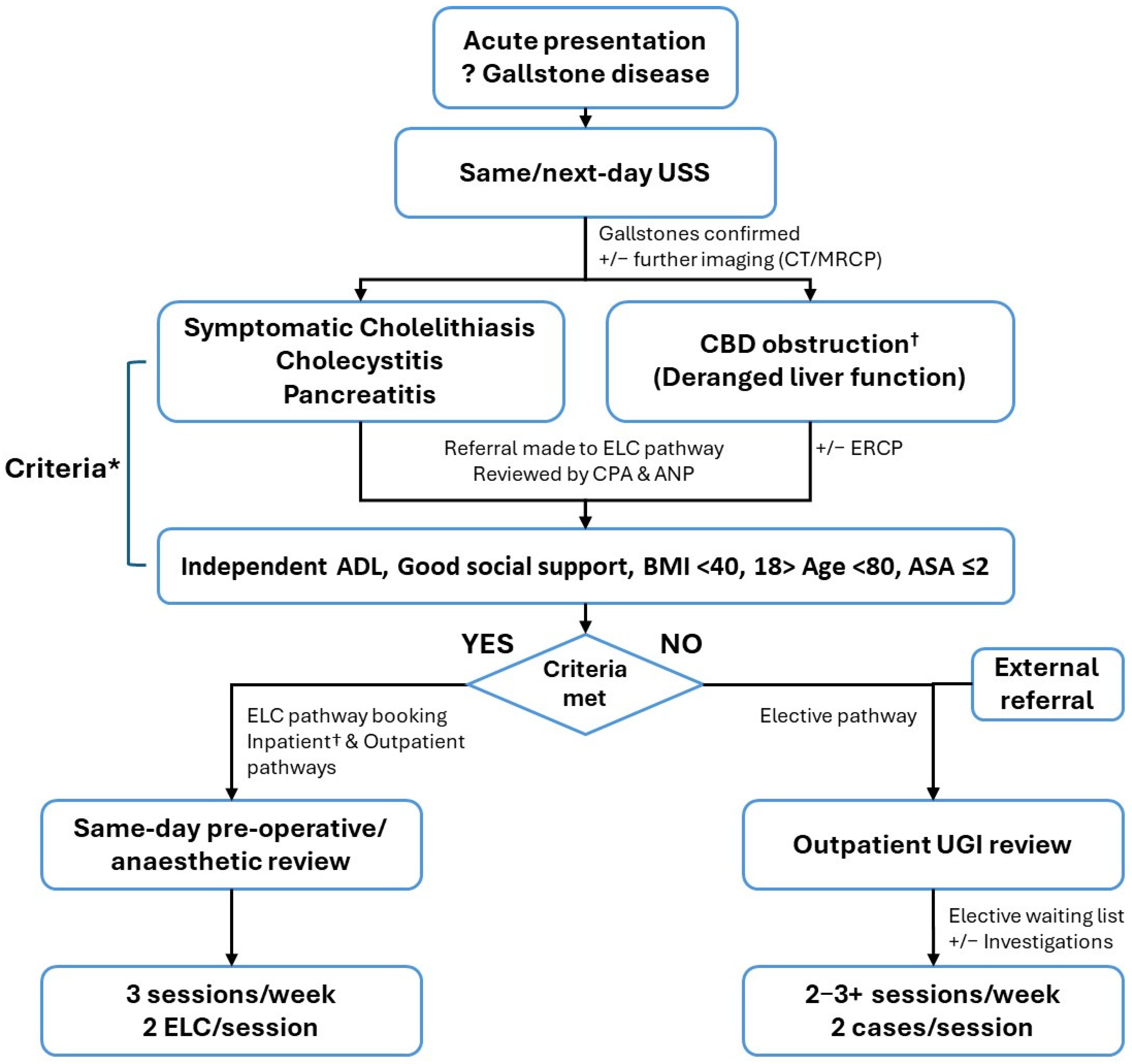 Medsci 13 00086 g001