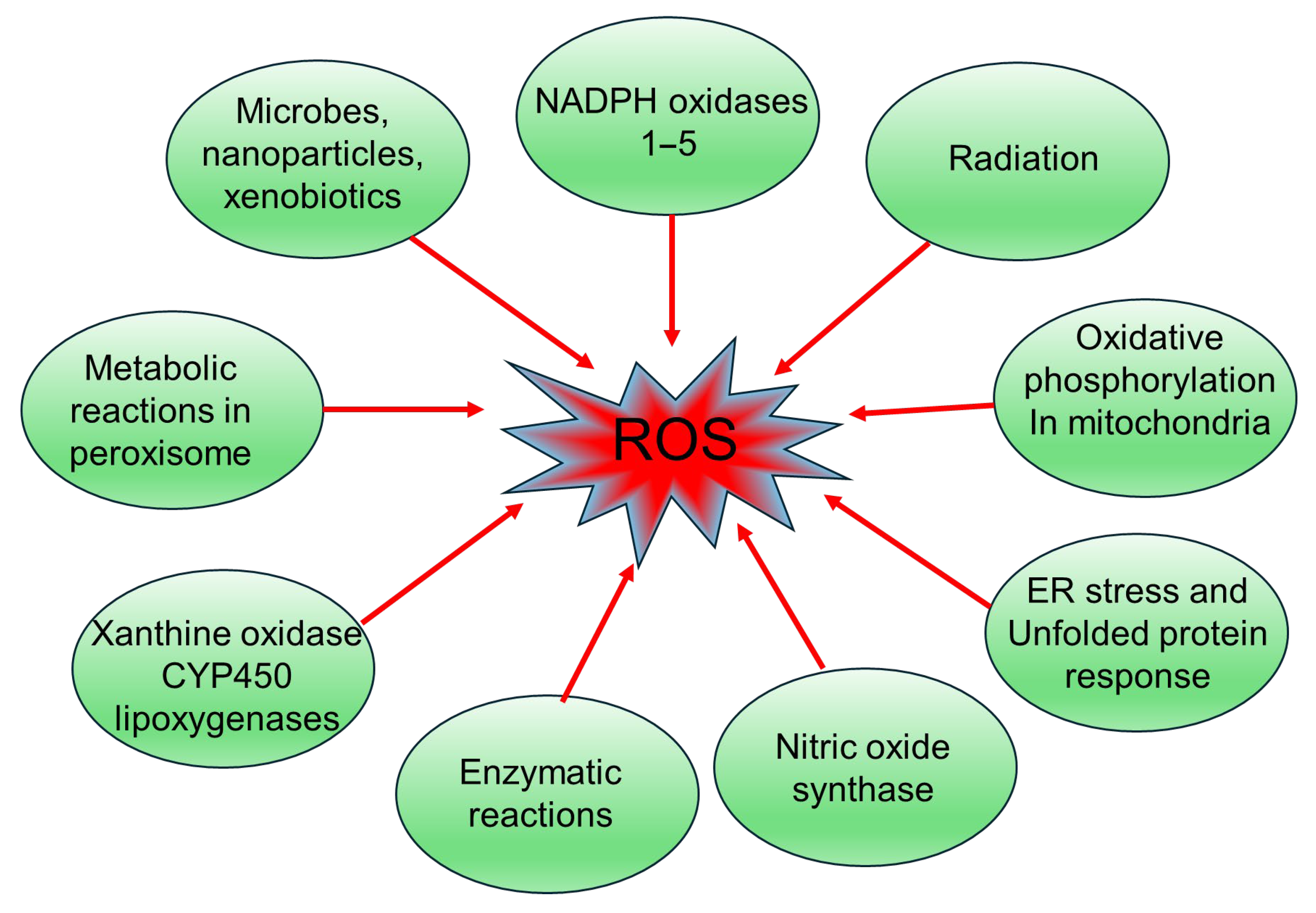 Medsci 13 00087 g001