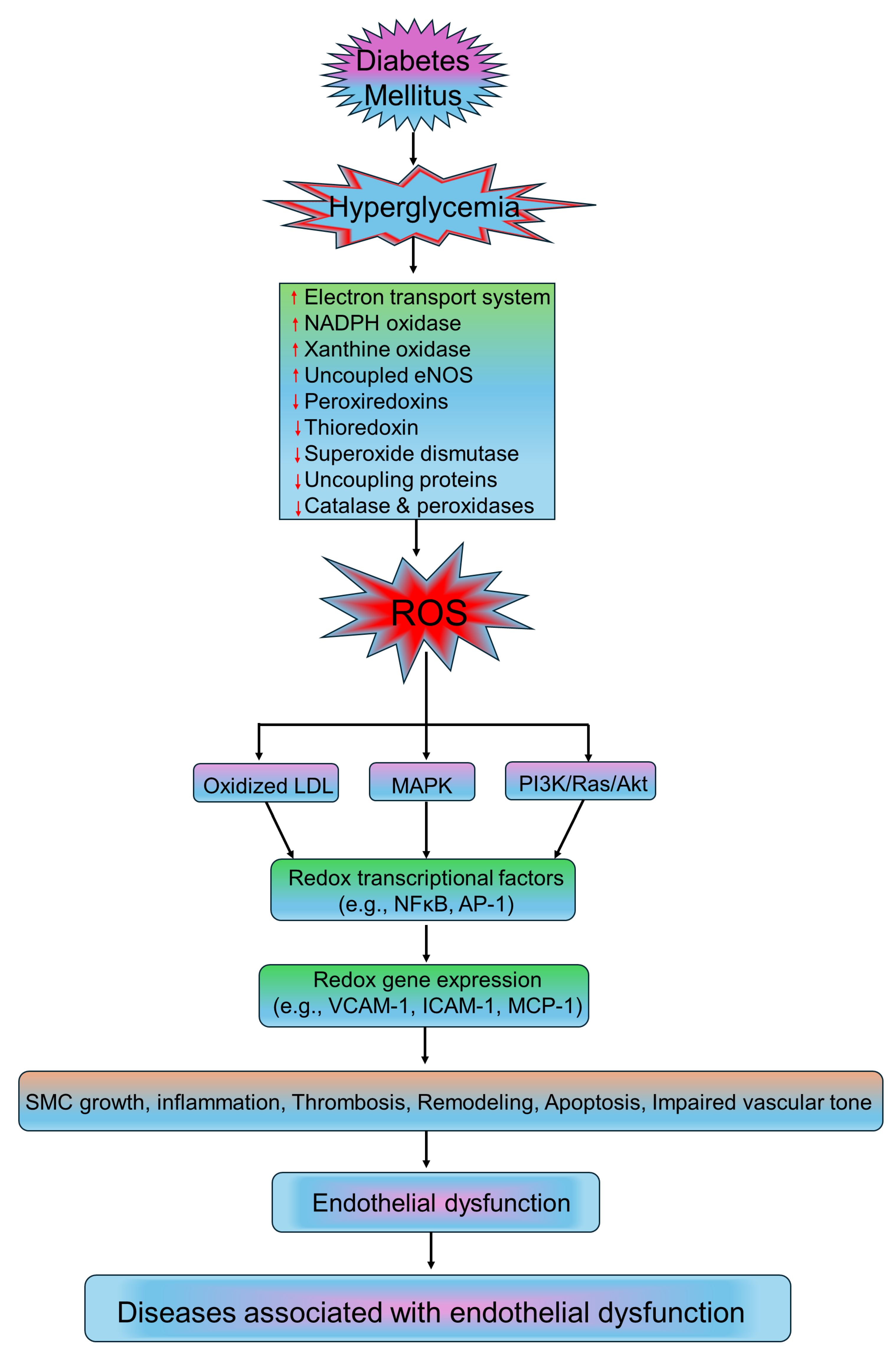 Medsci 13 00087 g002