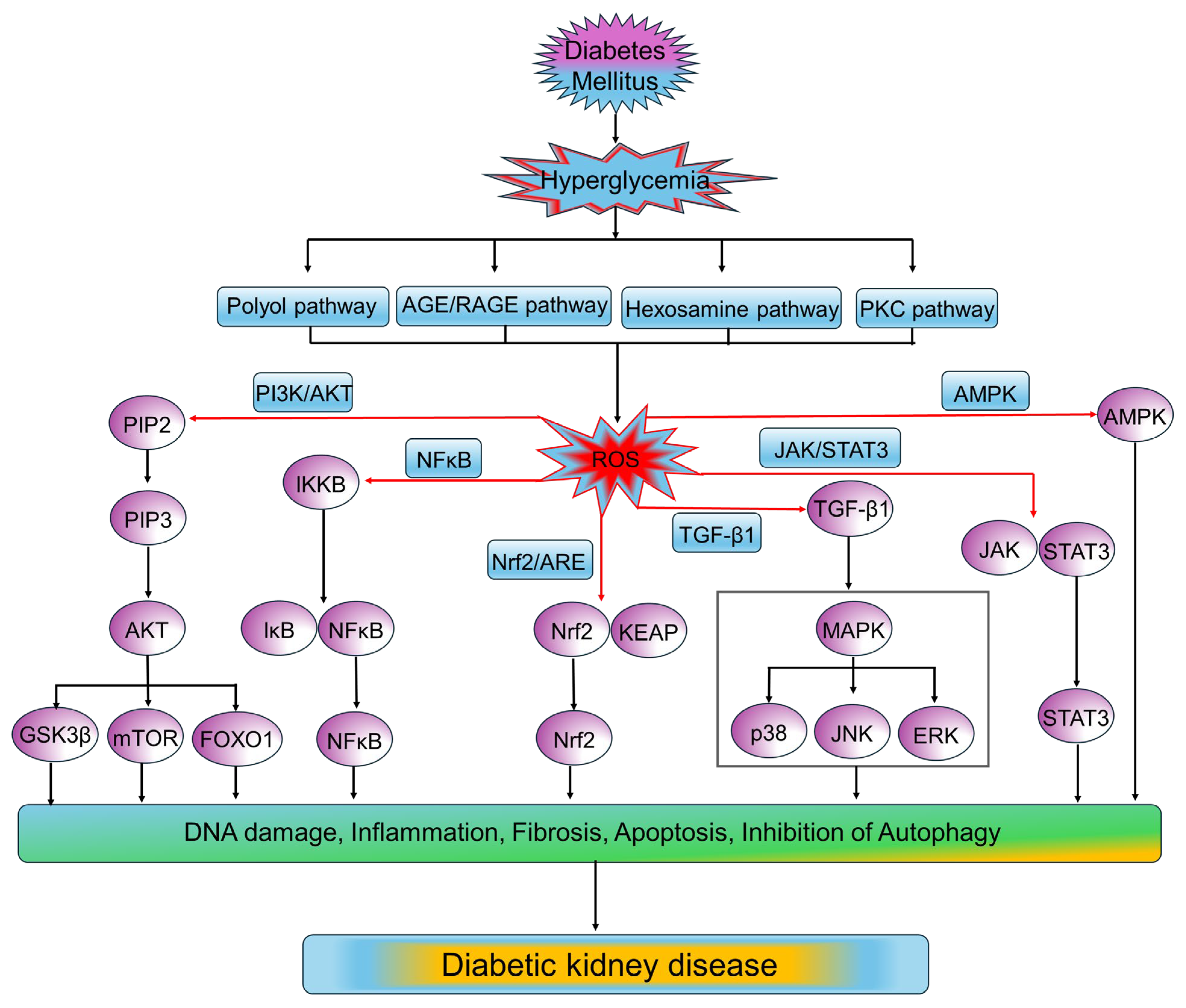 Medsci 13 00087 g005