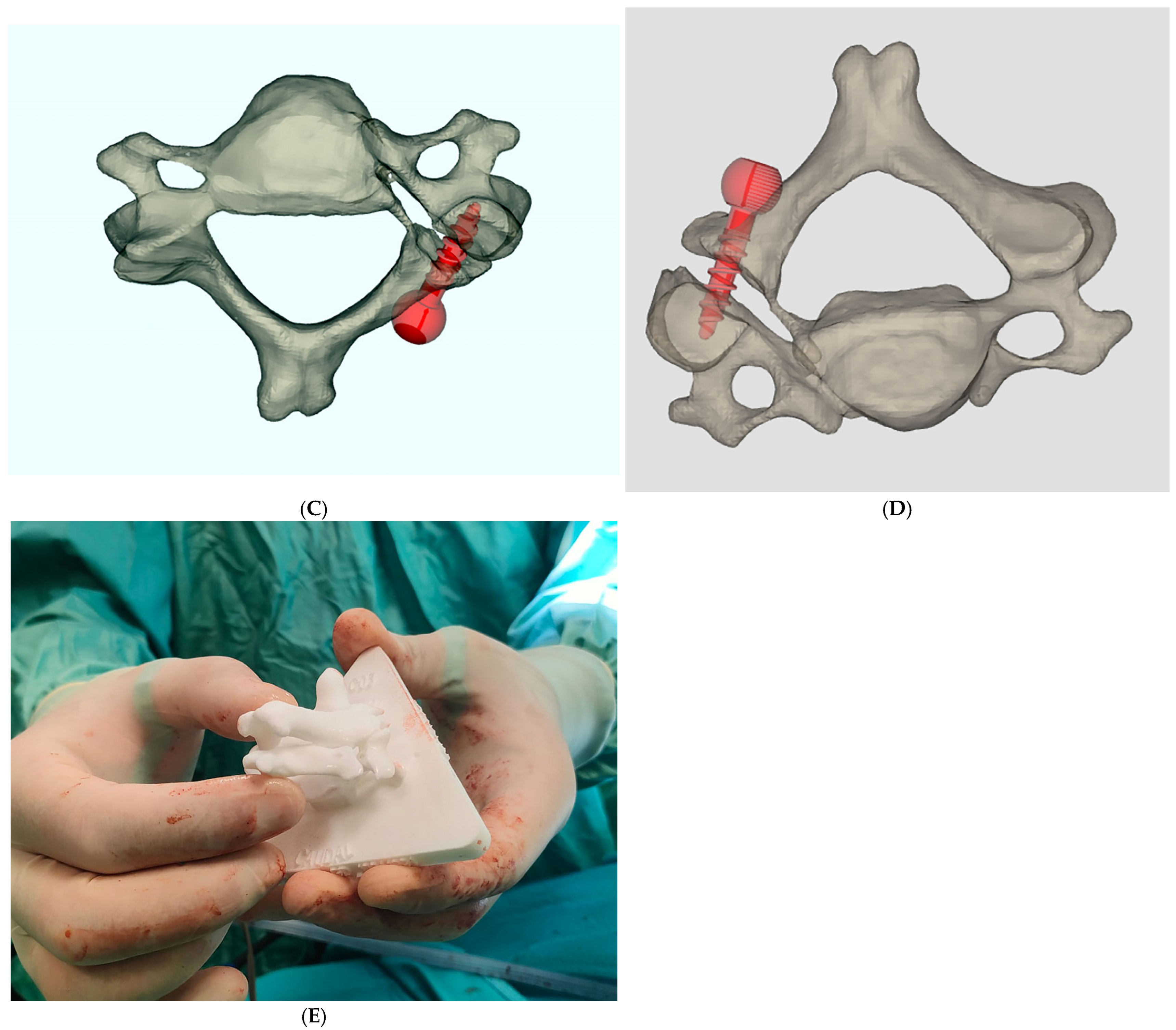 Medsci 13 00092 g003b