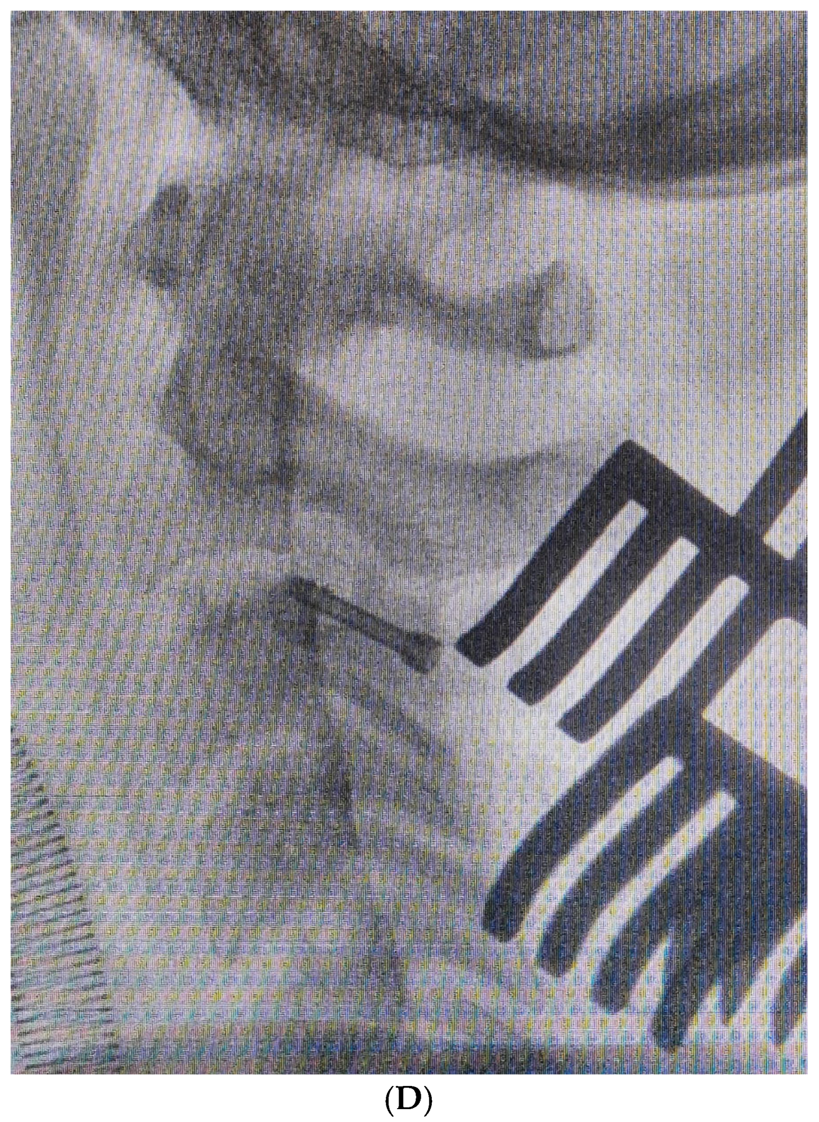 Medsci 13 00092 g004b