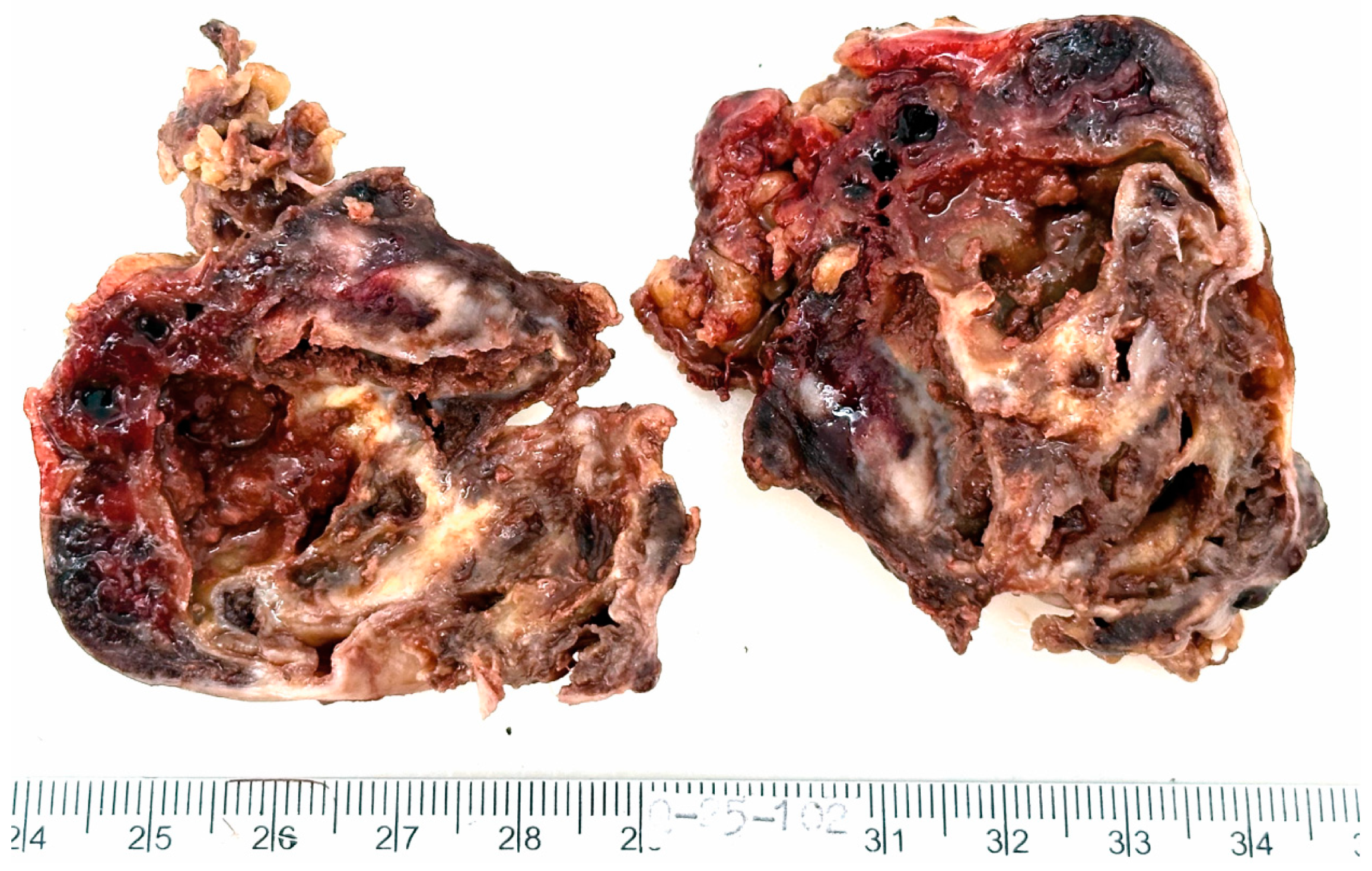 Medsci 13 00096 g002