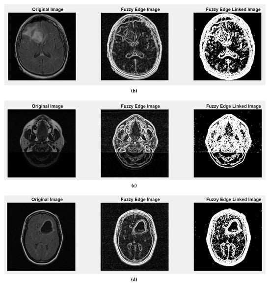 Medsci 13 00097 g0a2