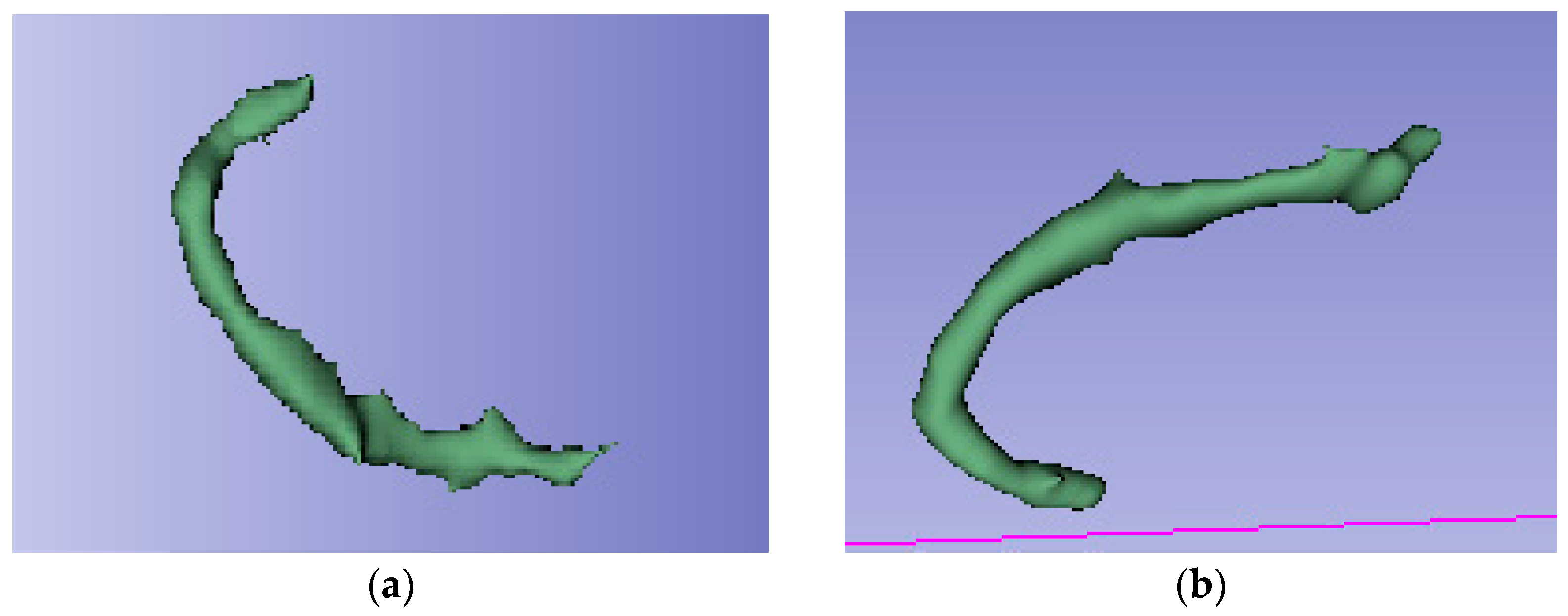 Medsci 13 00098 g003