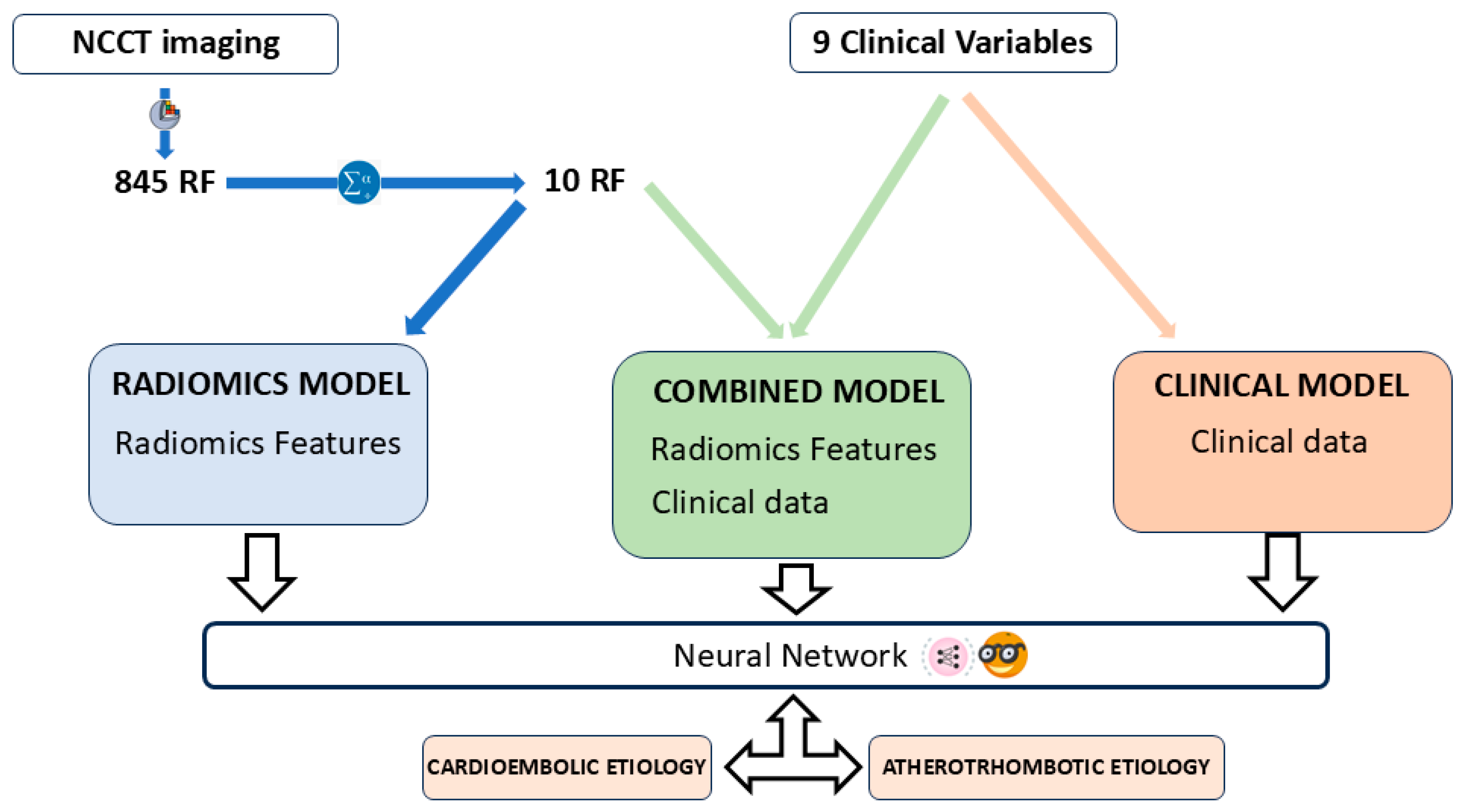 Medsci 13 00098 g004