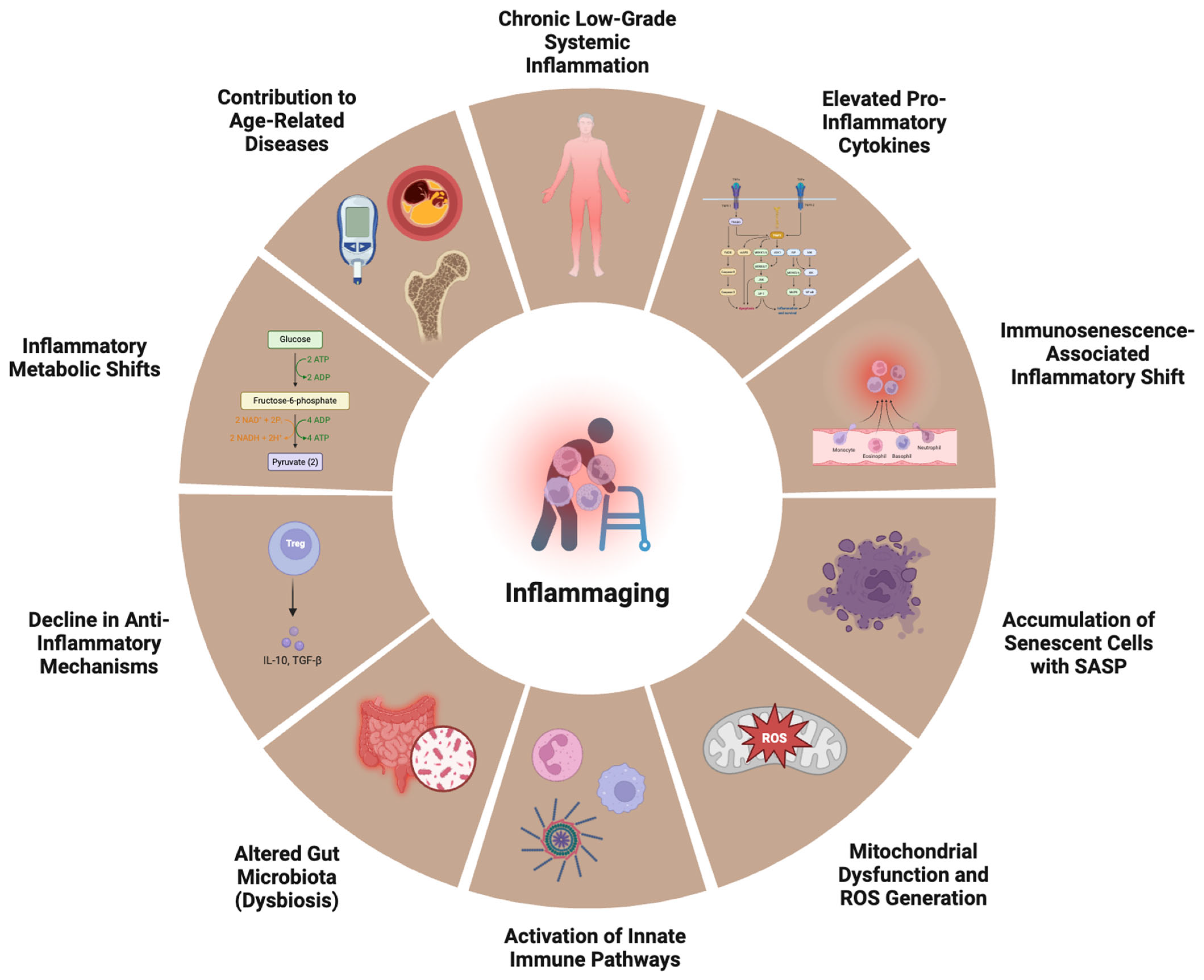 Medsci 13 00100 g002