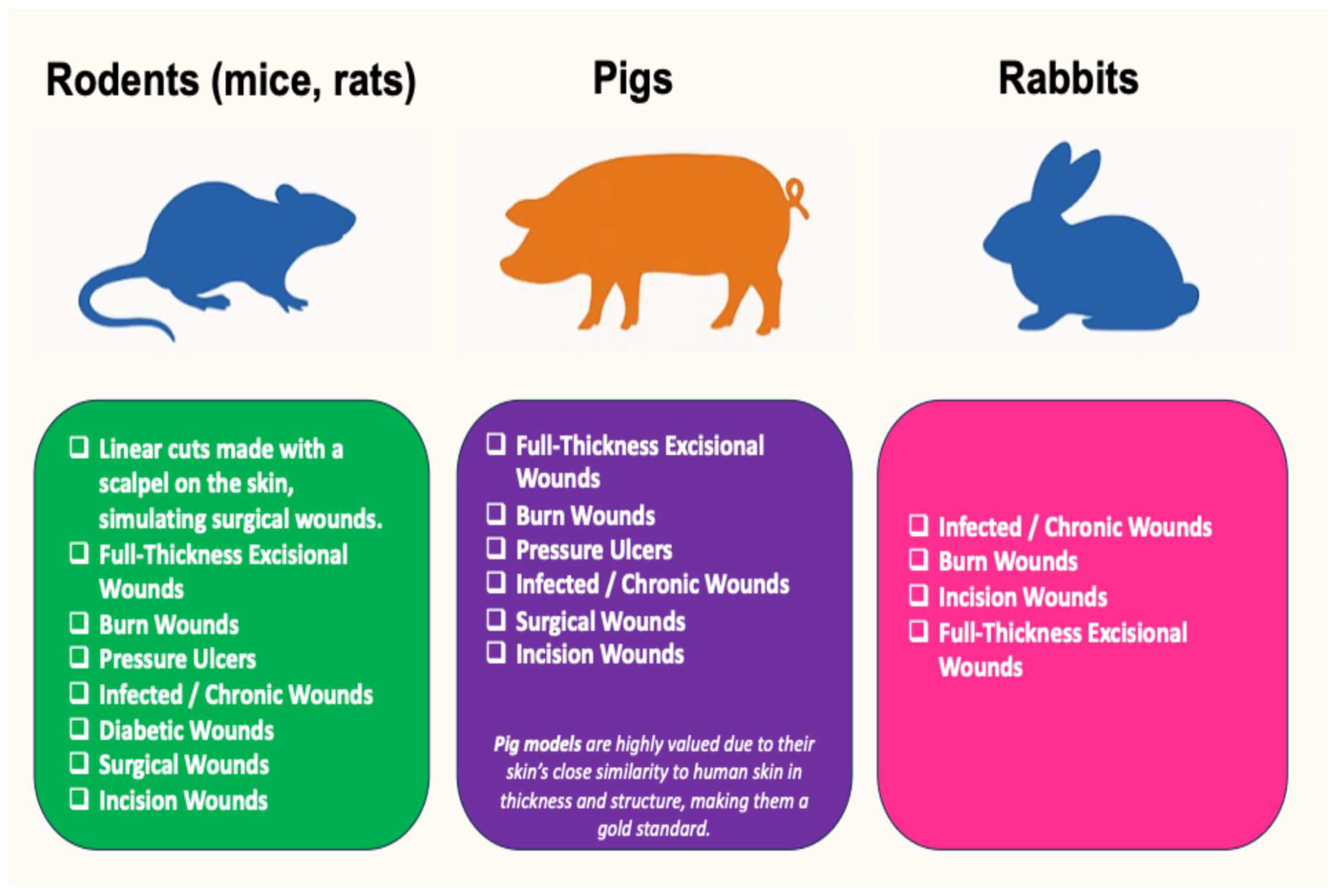 Medsci 13 00106 g001 Medsci 13 00106 g001