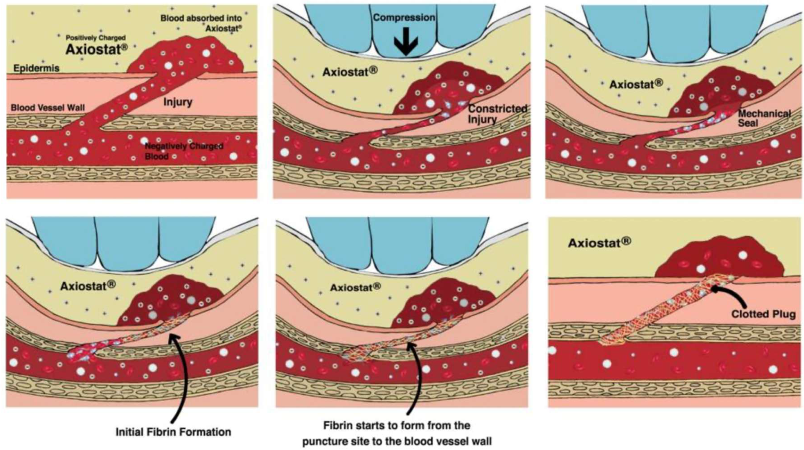 Medsci 13 00106 g002 Medsci 13 00106 g002