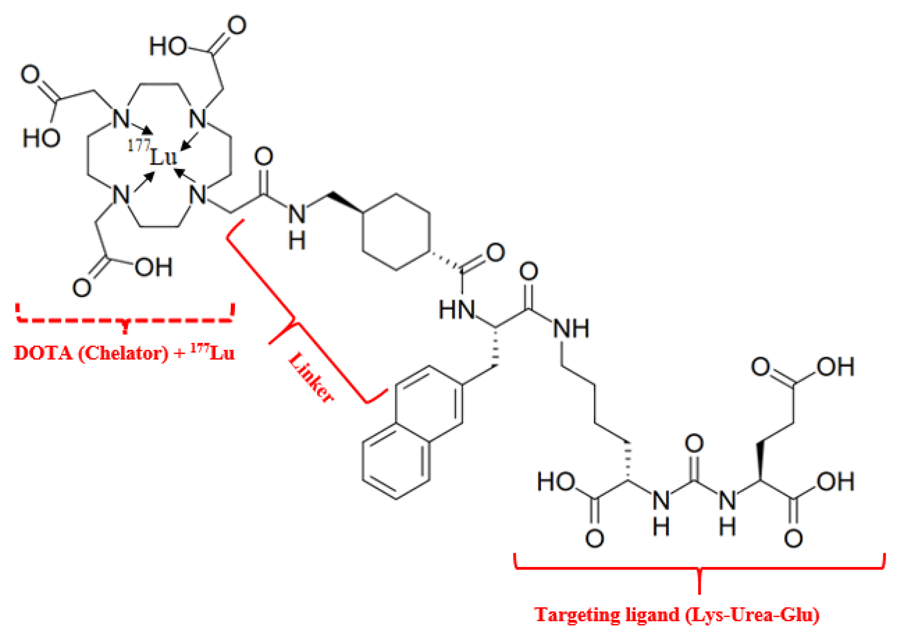 Medsci 13 00107 g007
