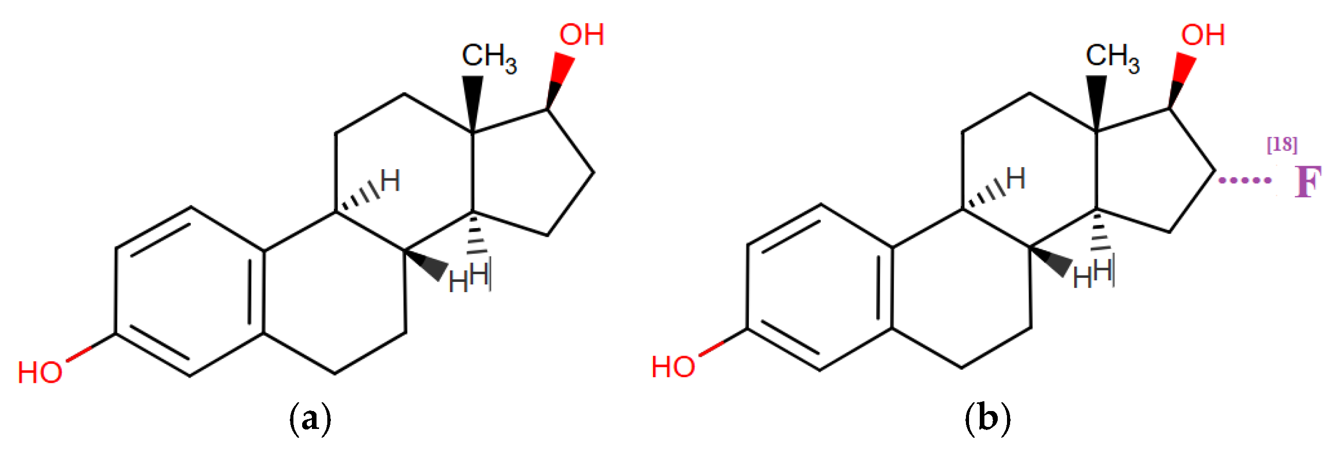 Medsci 13 00107 g010