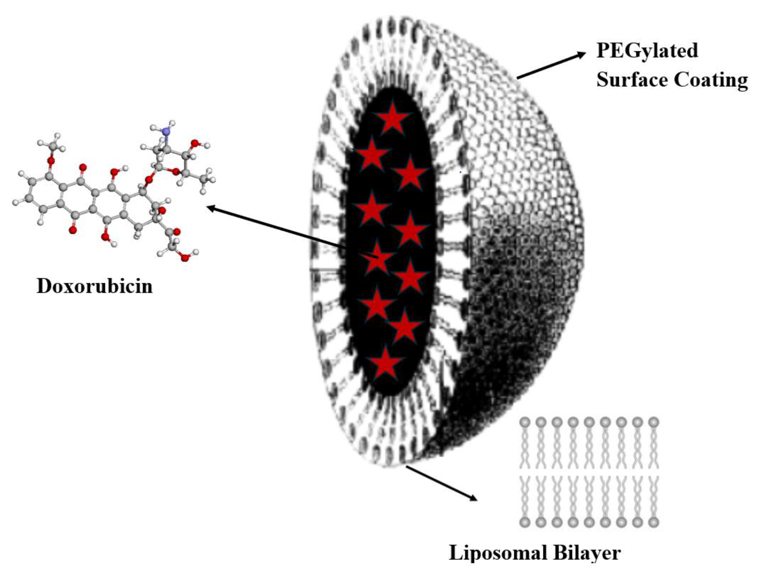 Medsci 13 00107 g012