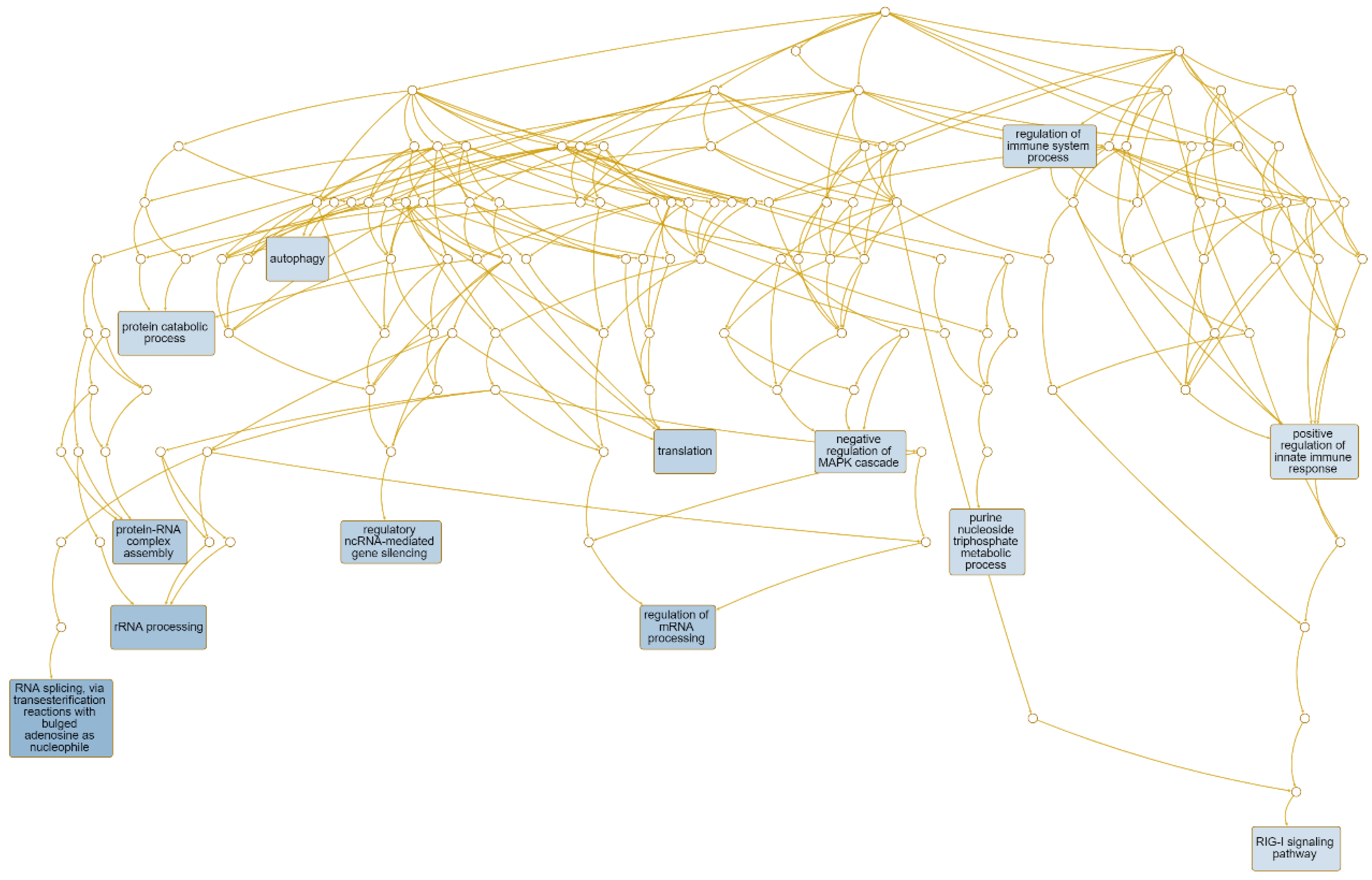 Medsci 13 00118 g005
