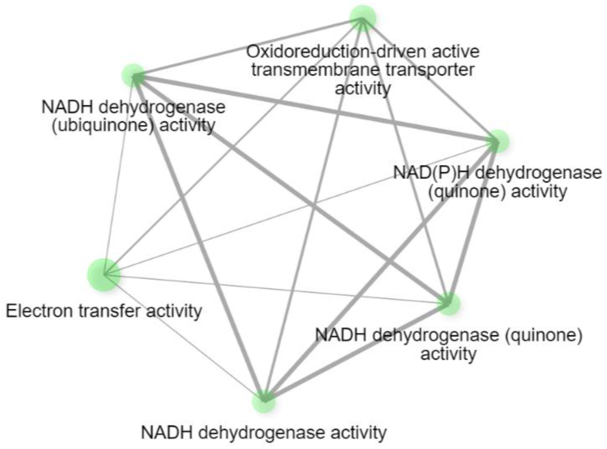 Medsci 13 00118 g006