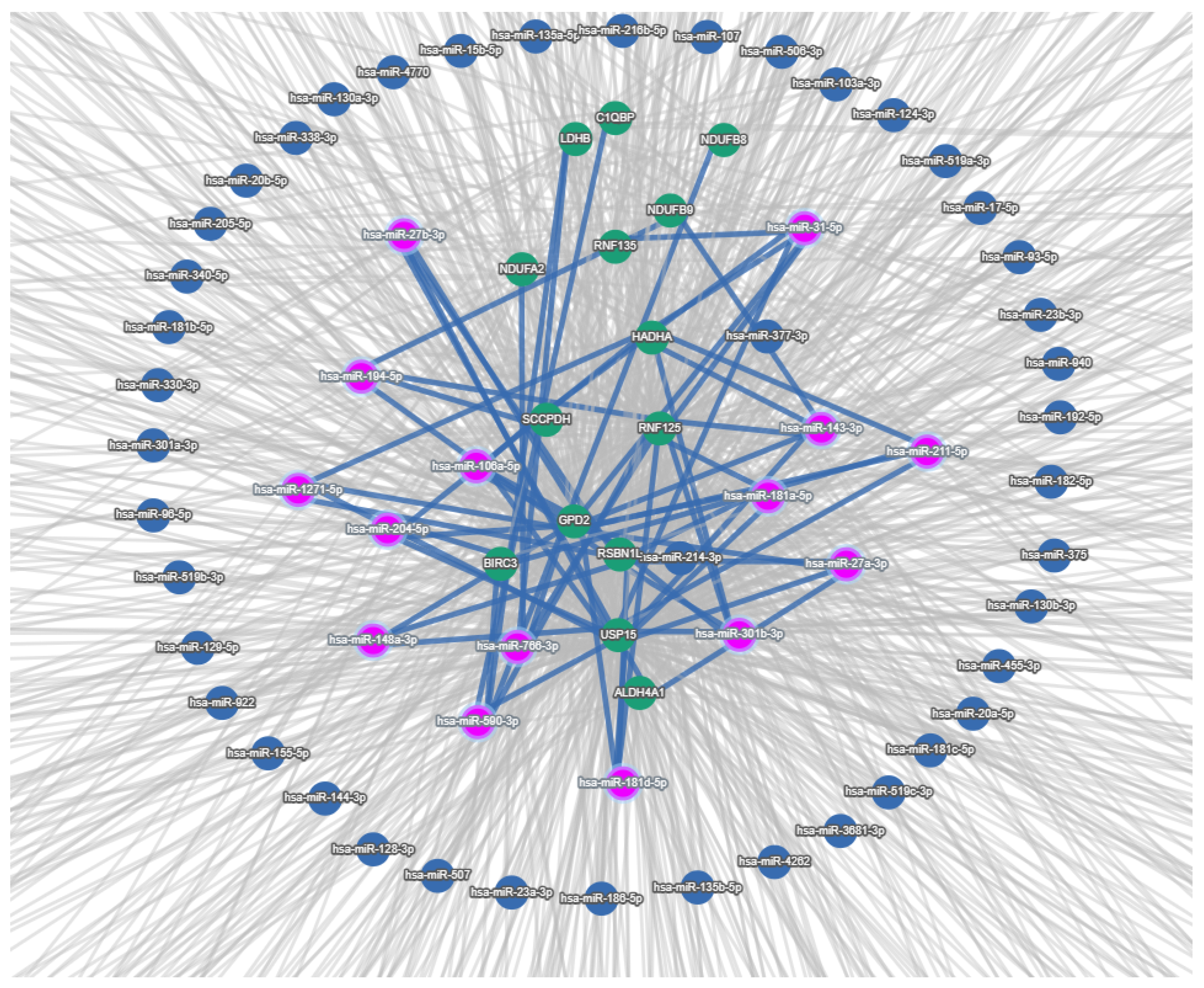 Medsci 13 00118 g007
