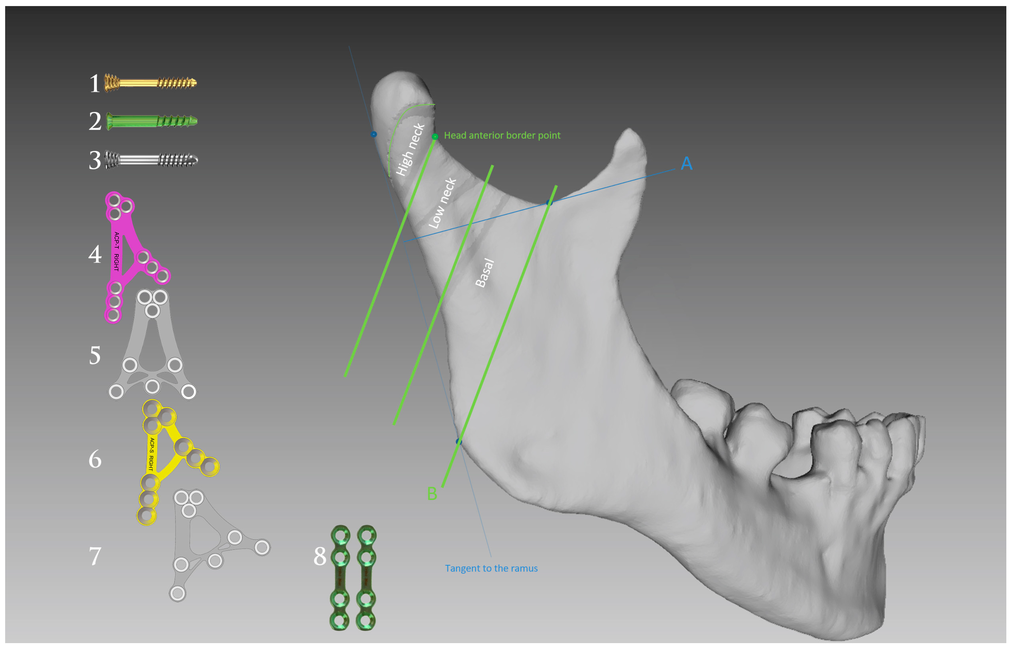Medsci 13 00121 g001