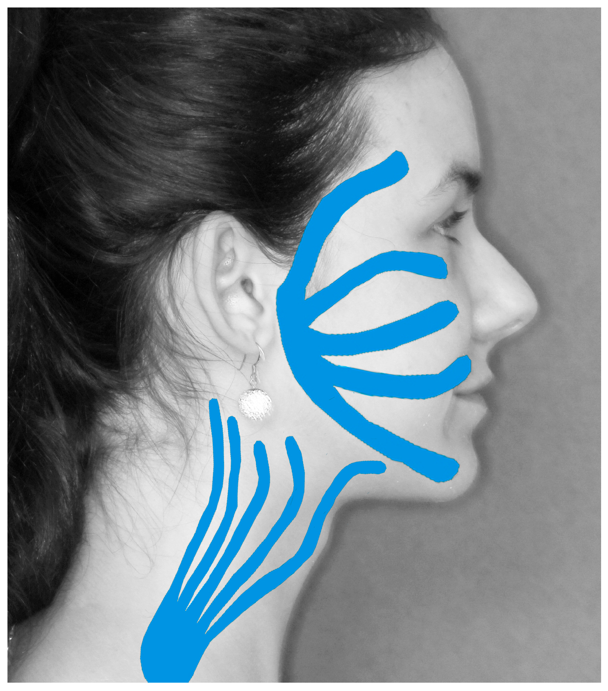 Medsci 13 00121 g003