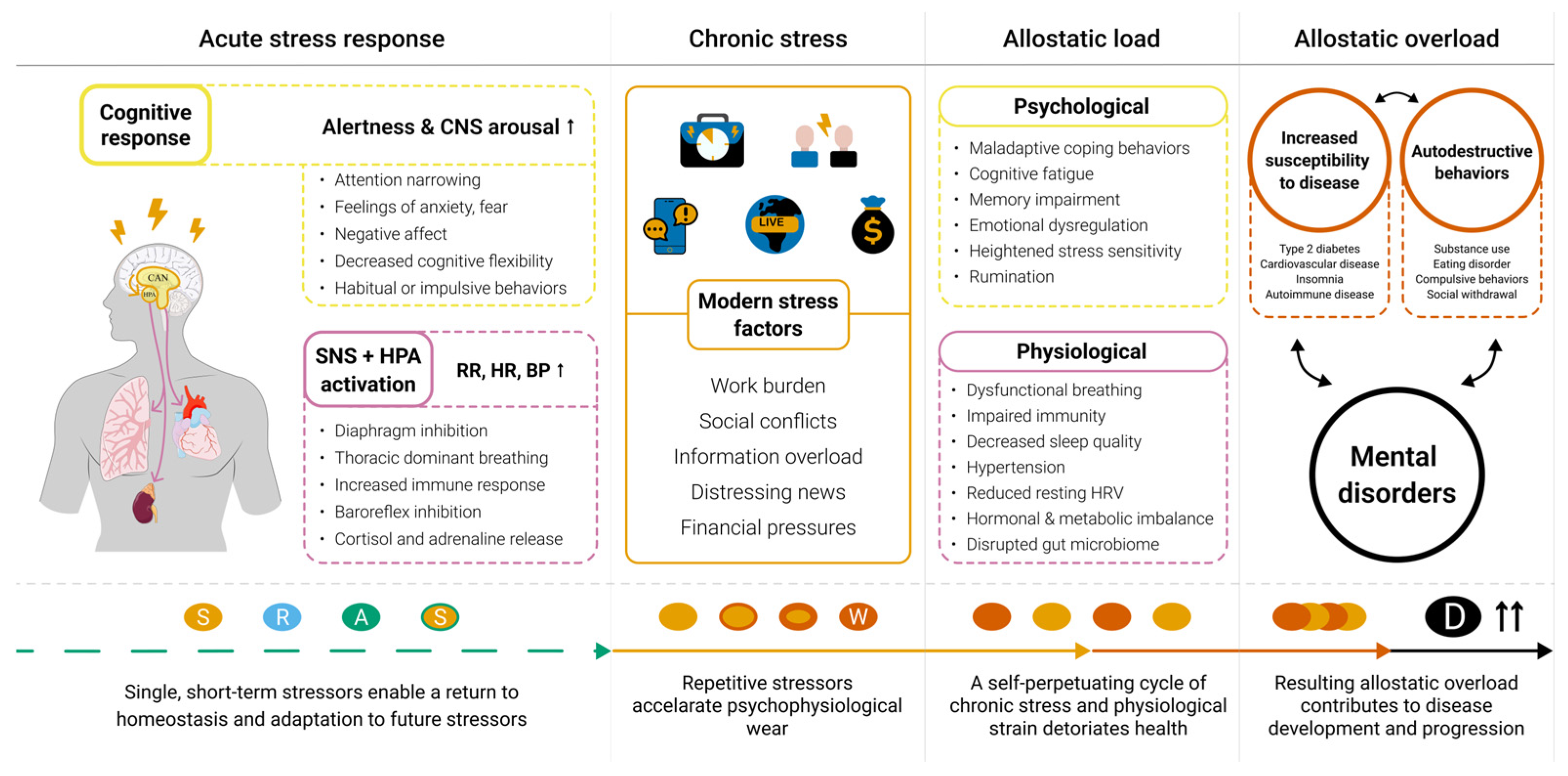 Medsci 13 00127 g001
