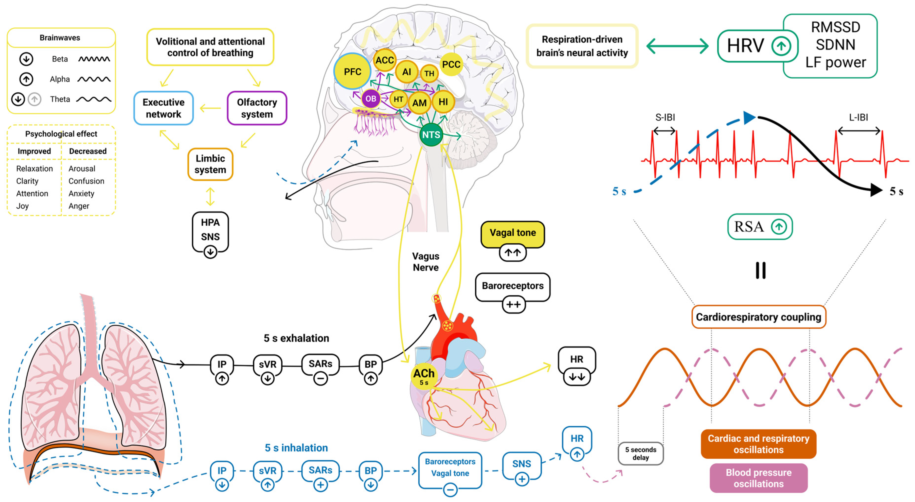Medsci 13 00127 g002