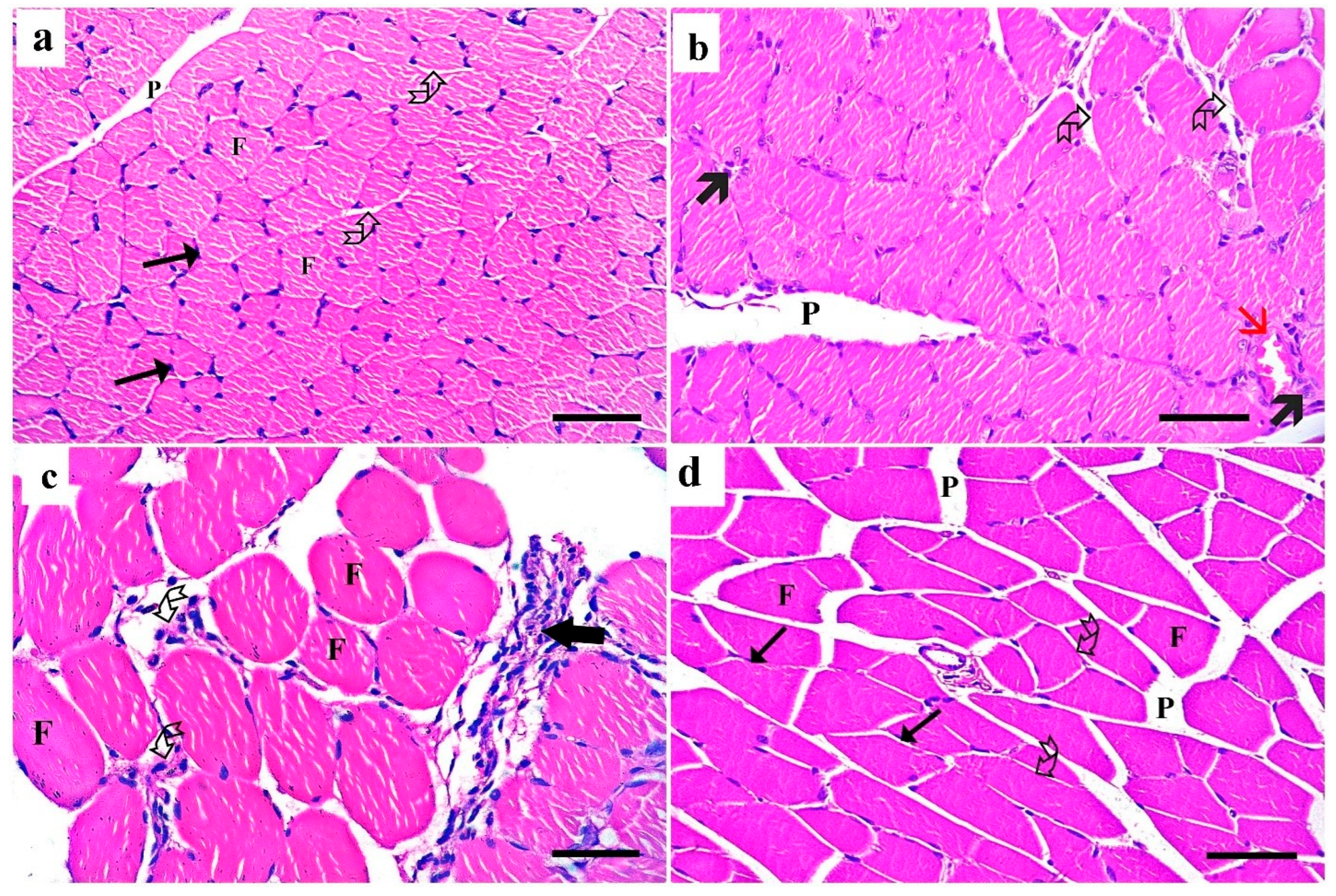 Medsci 13 00137 g002